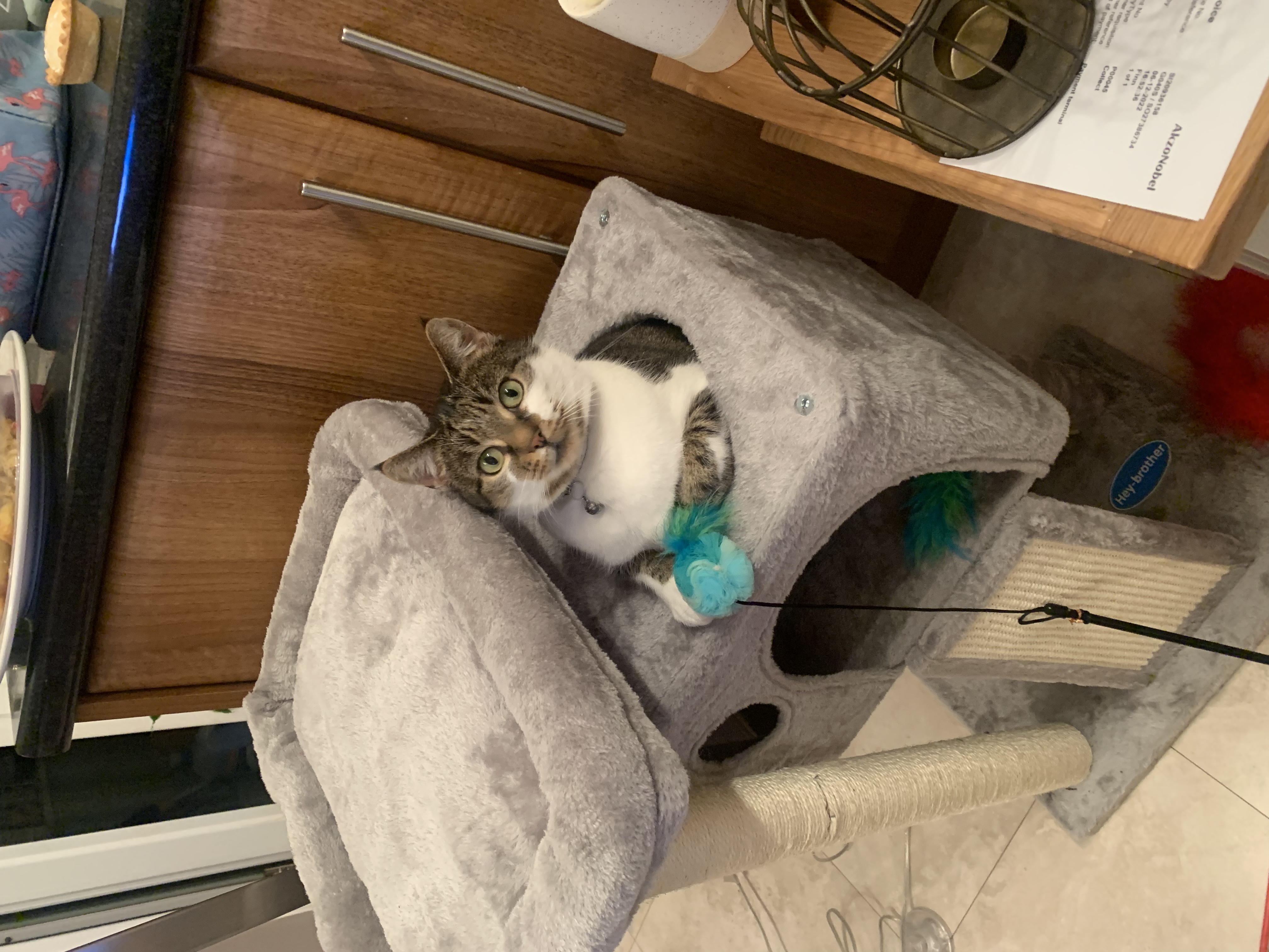 image-12