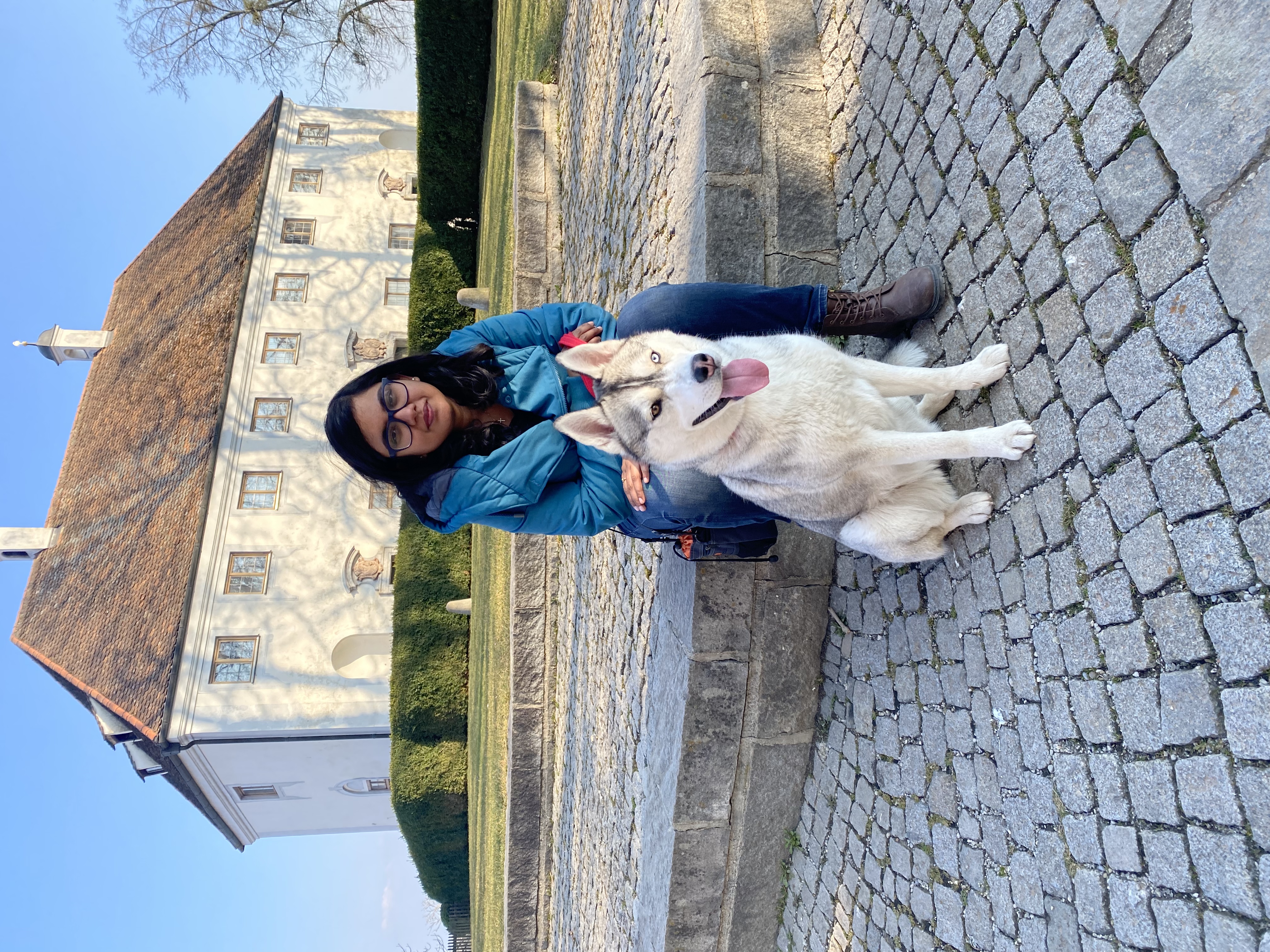 image-4