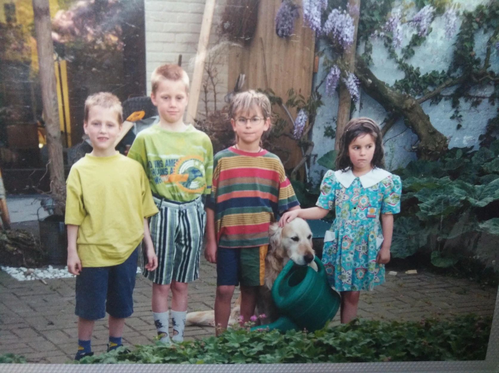 image-6