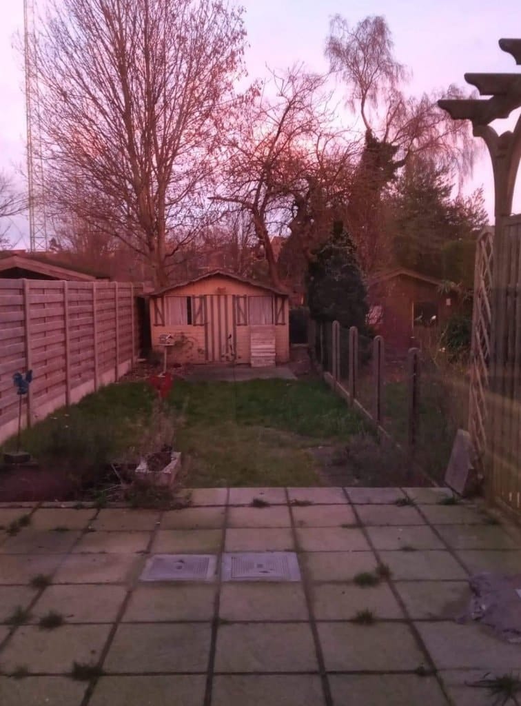 image-7
