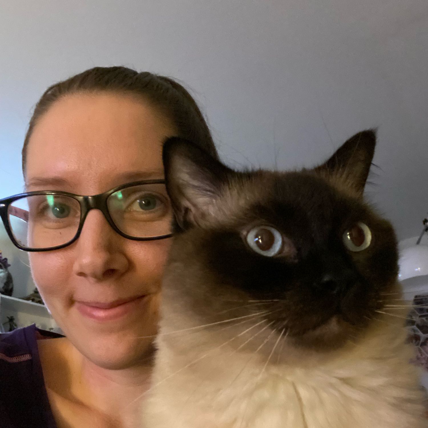 Kitti