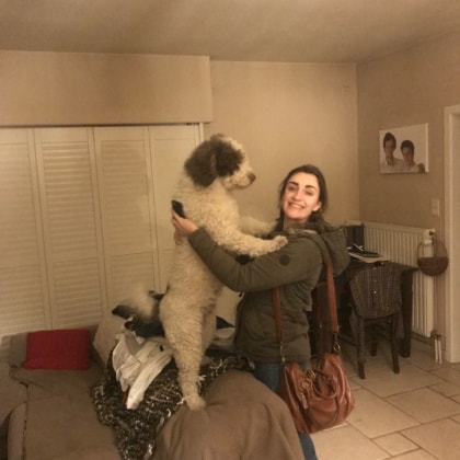 image-8