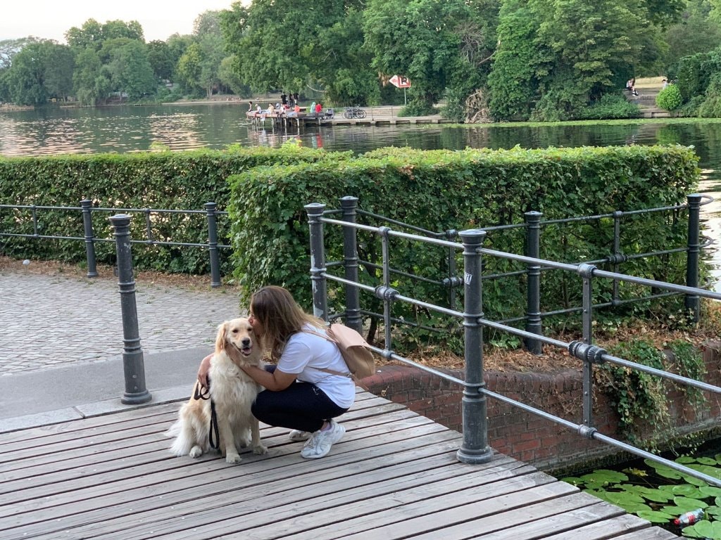 image-20