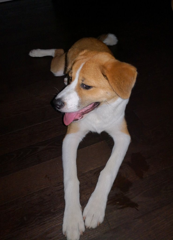 image-6