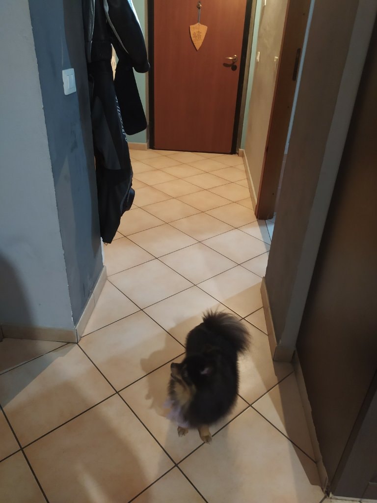 image-10