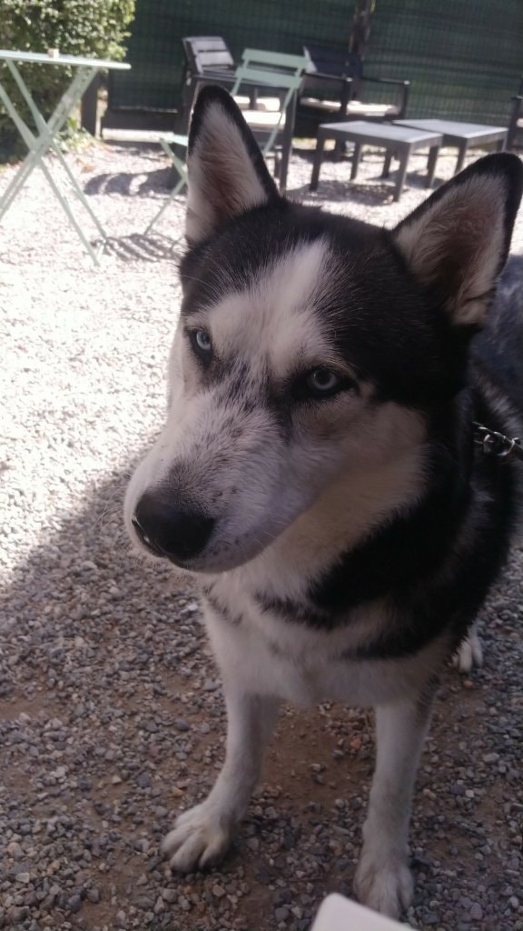 image-5