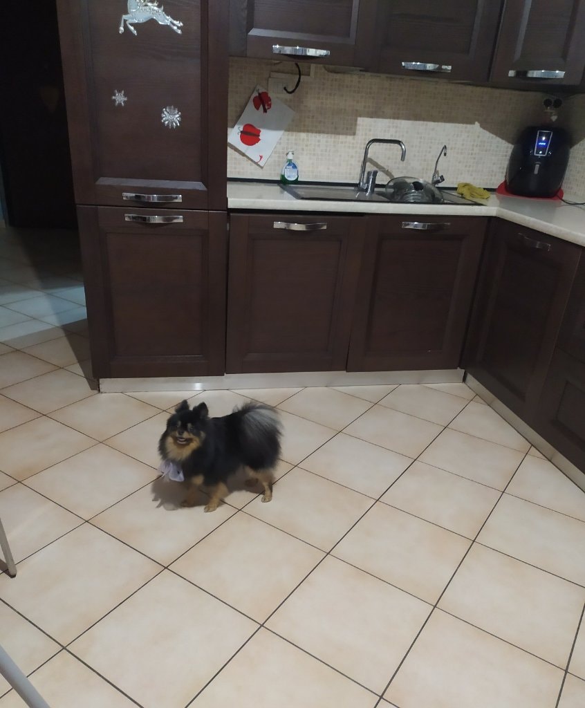 image-8