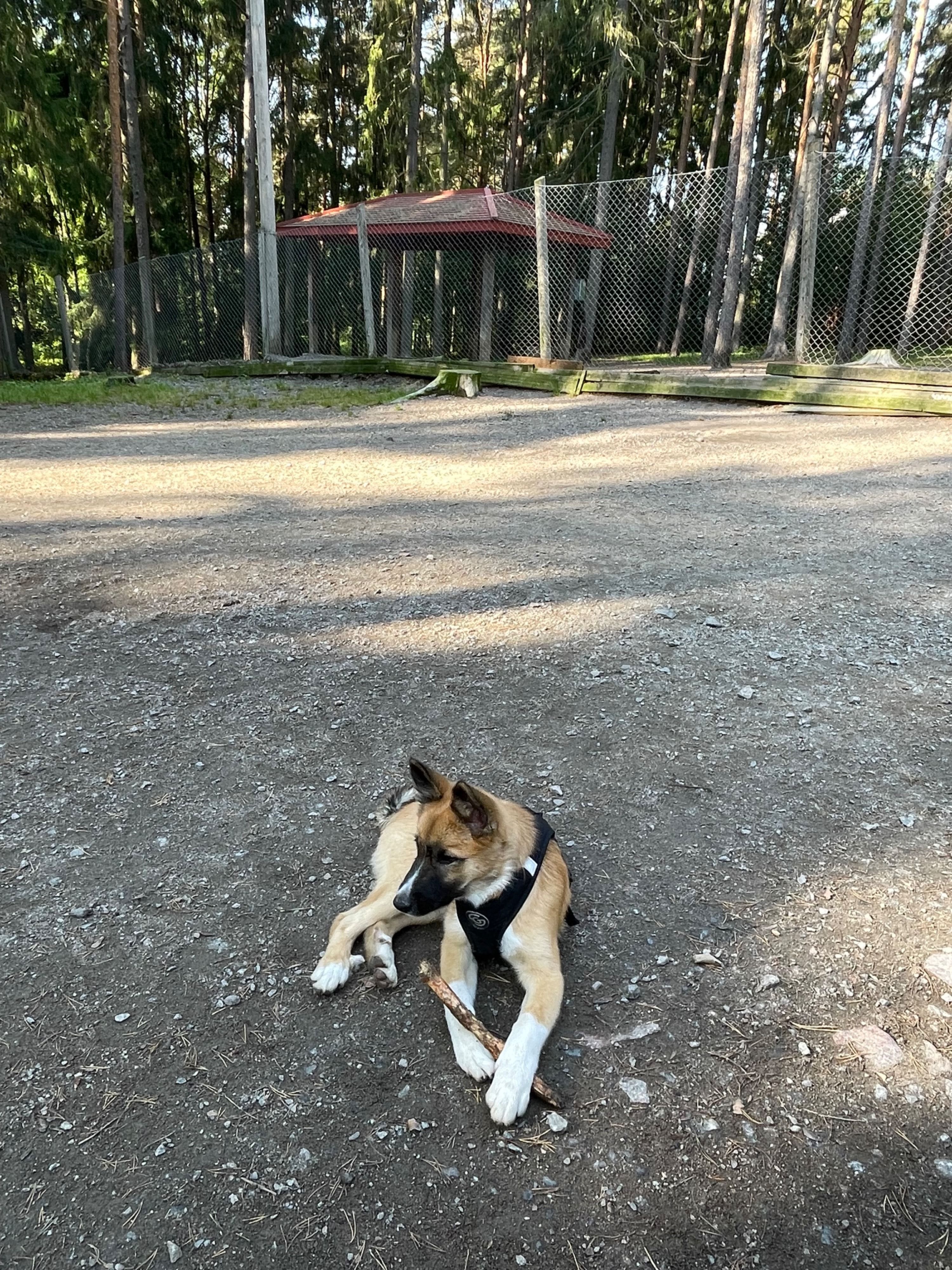 image-7
