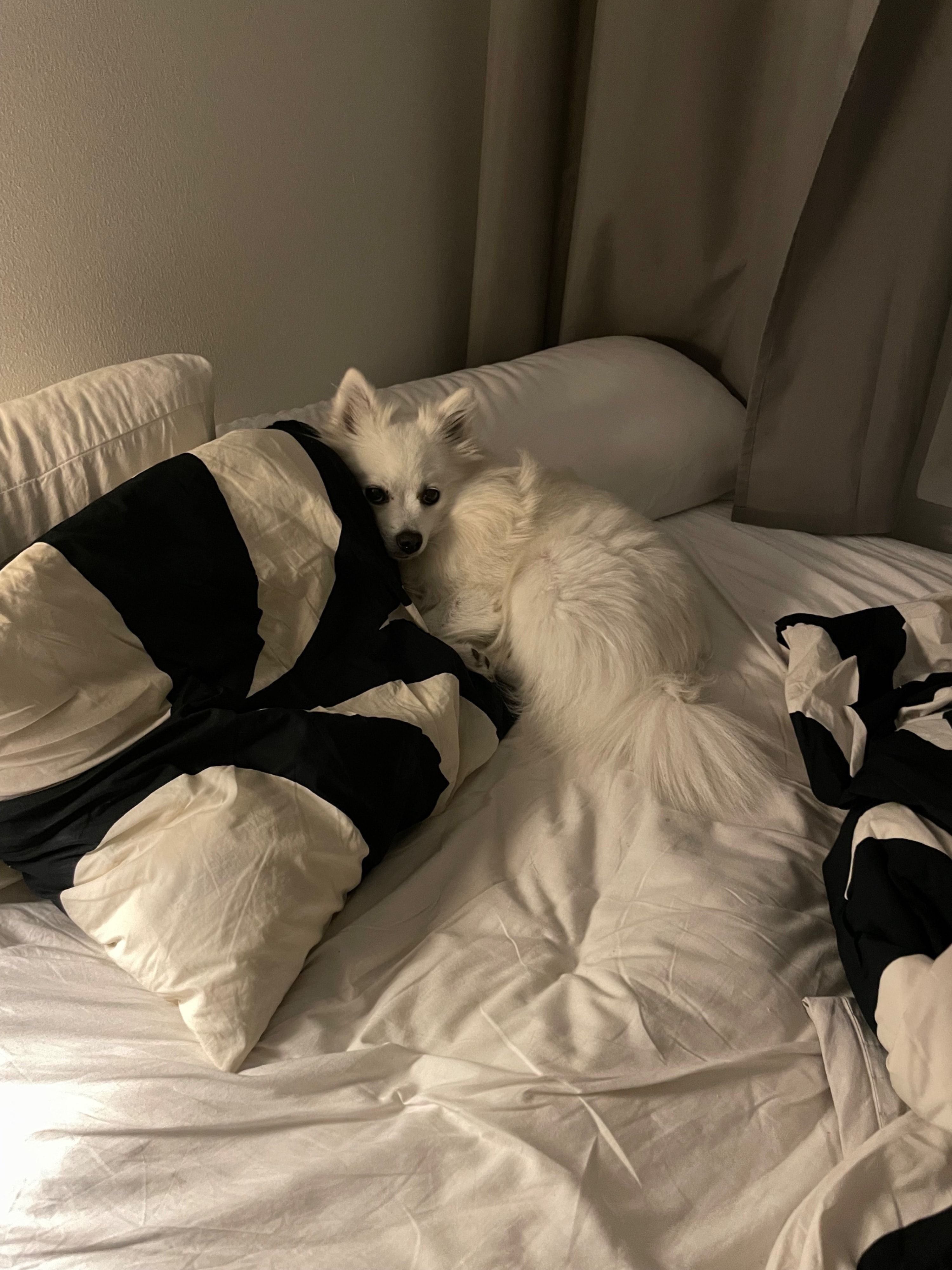 image-13