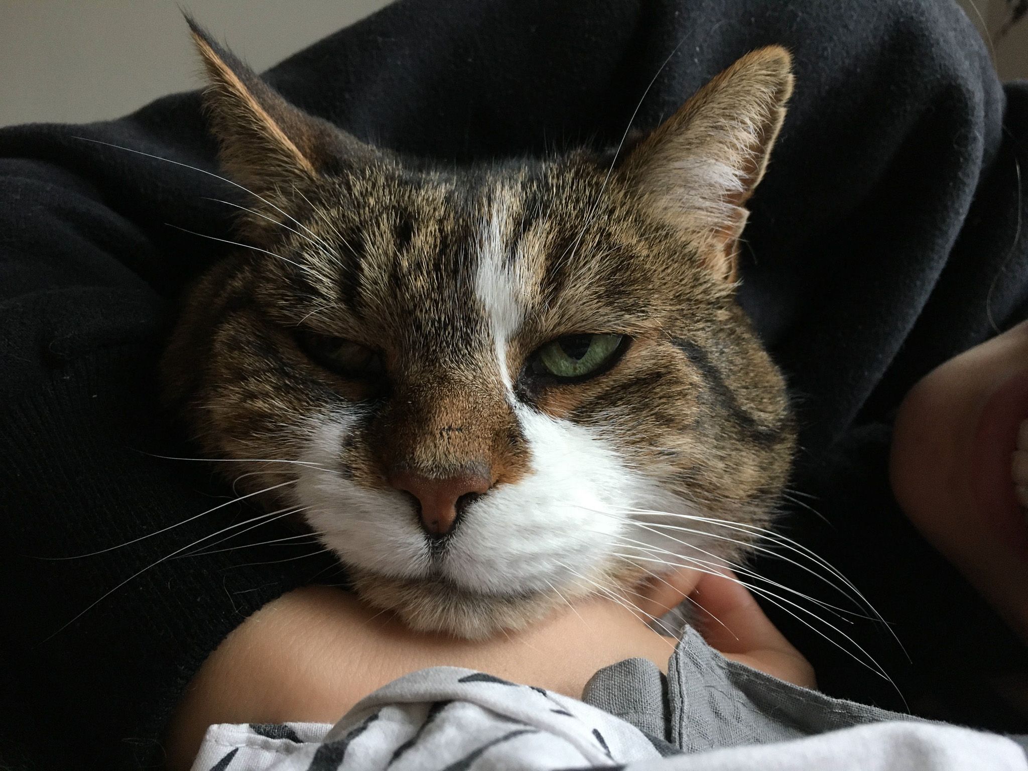 image-12