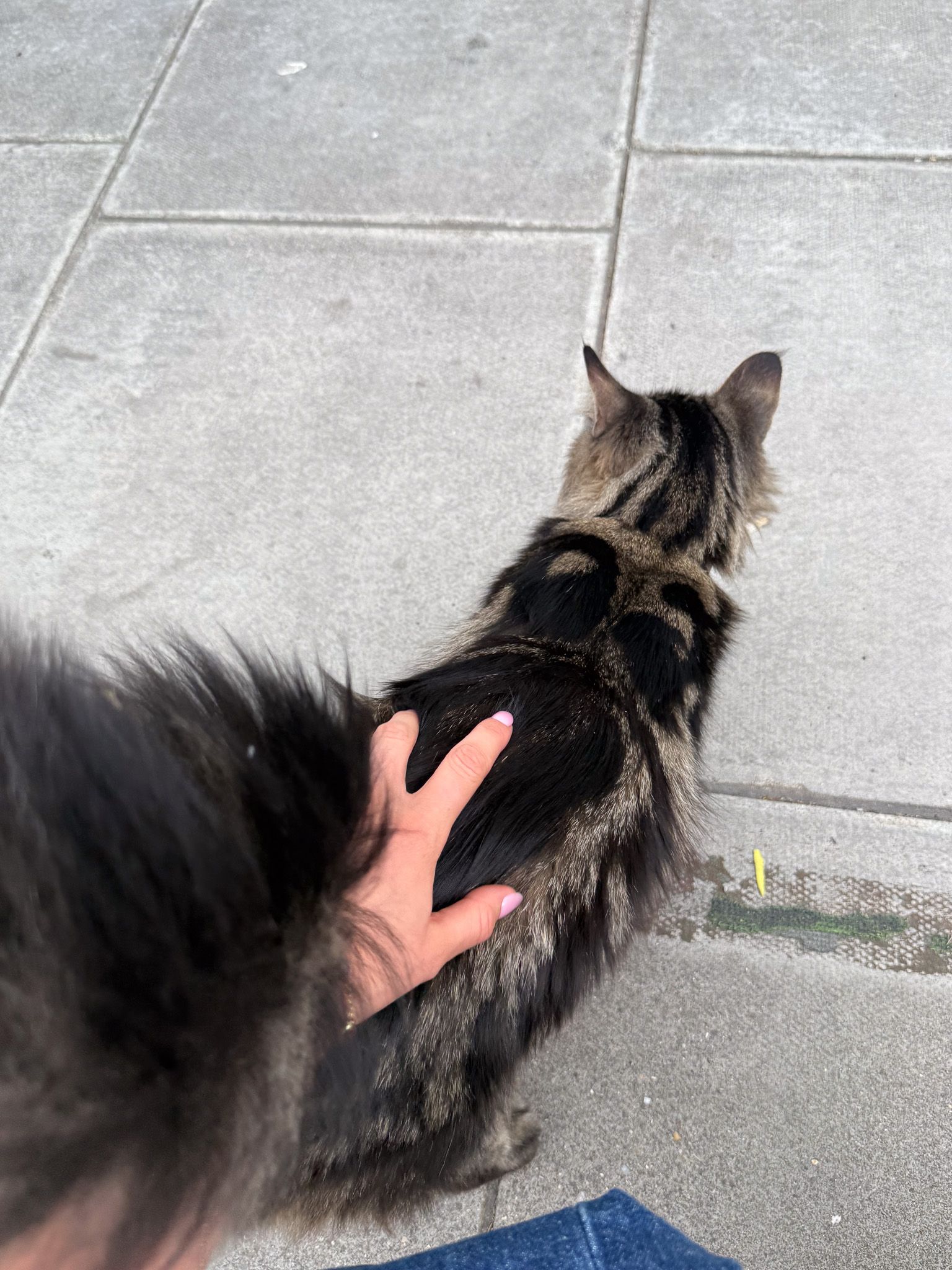 image-18