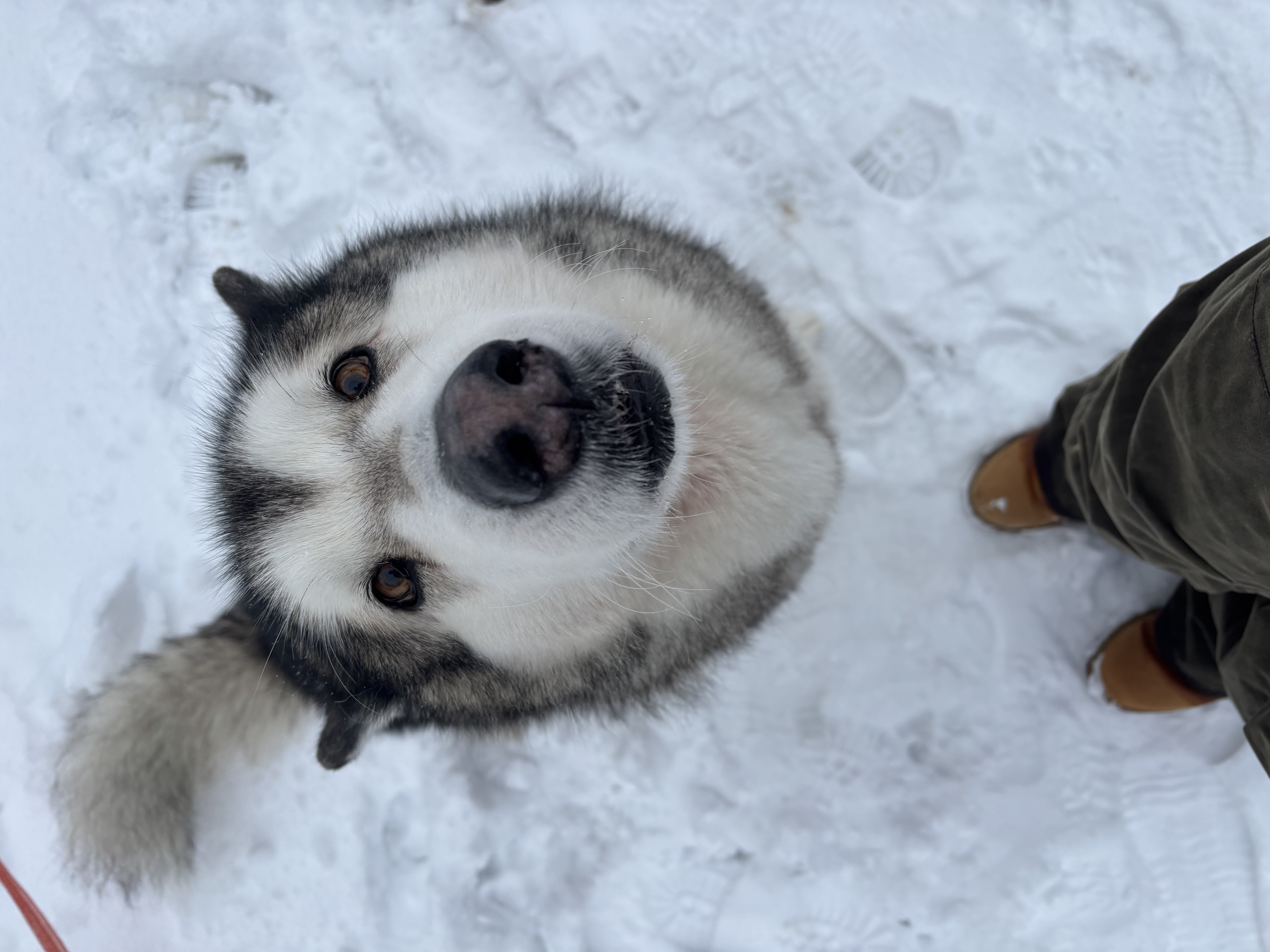 image-7