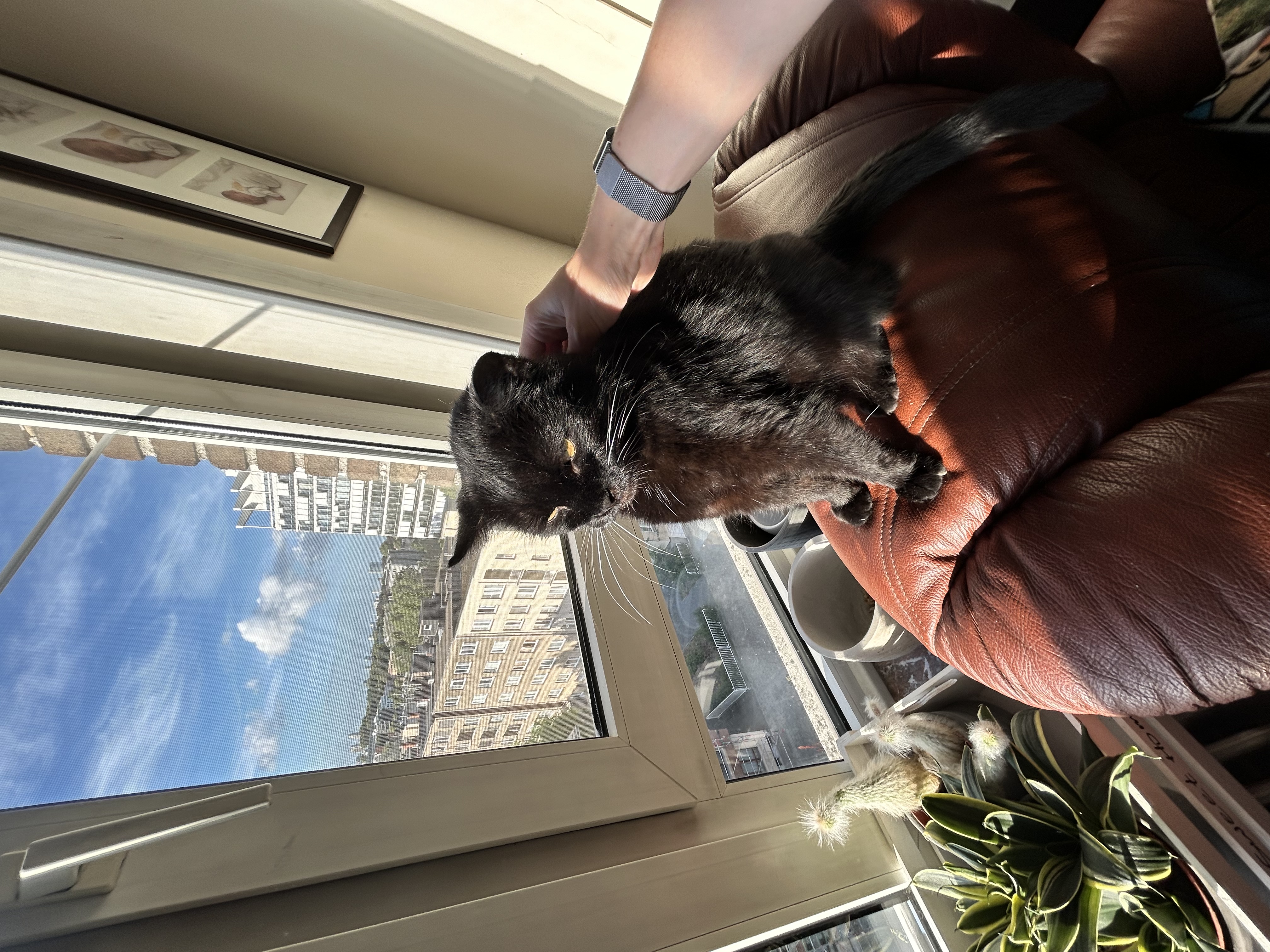image-9