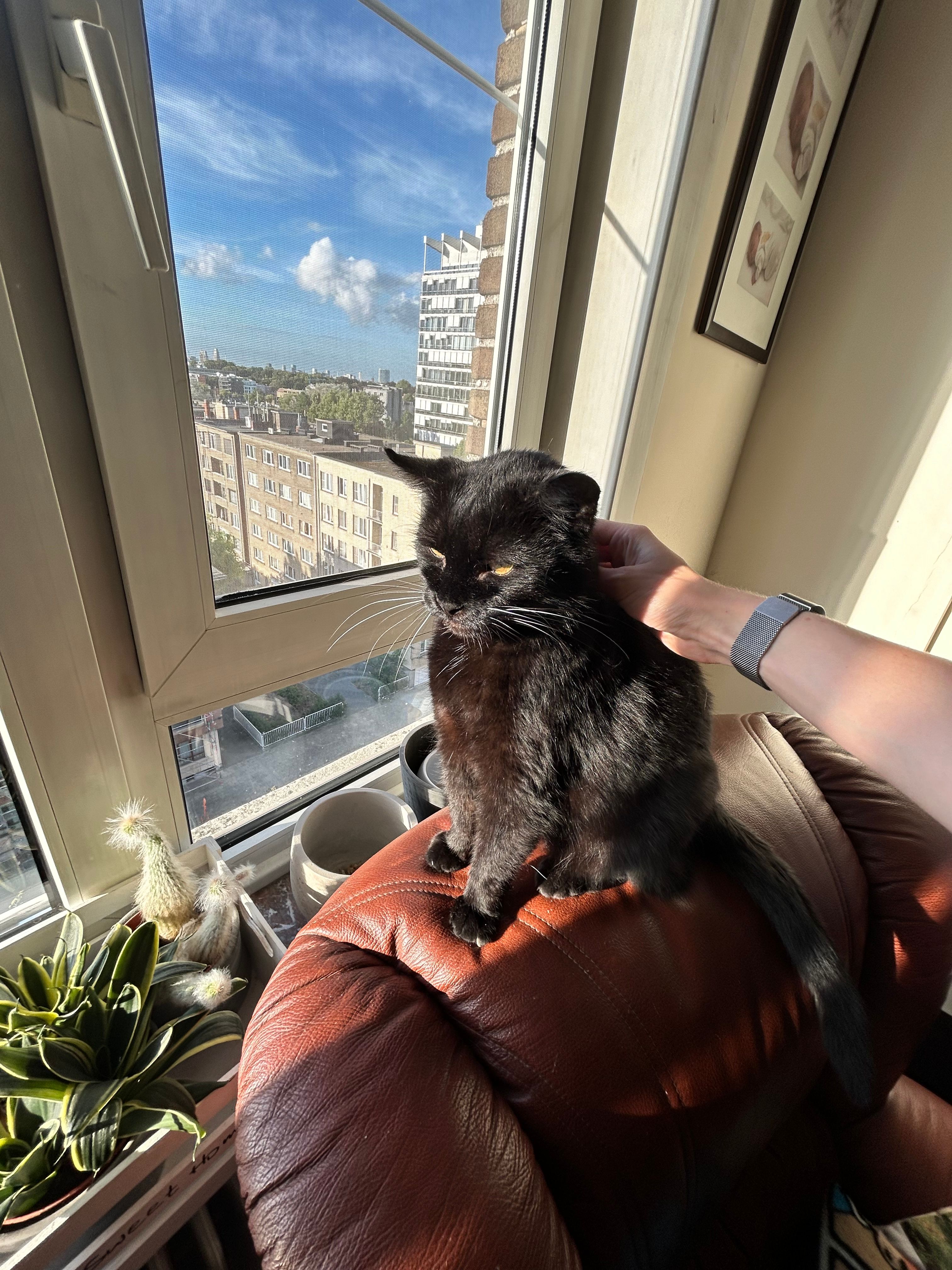 image-9