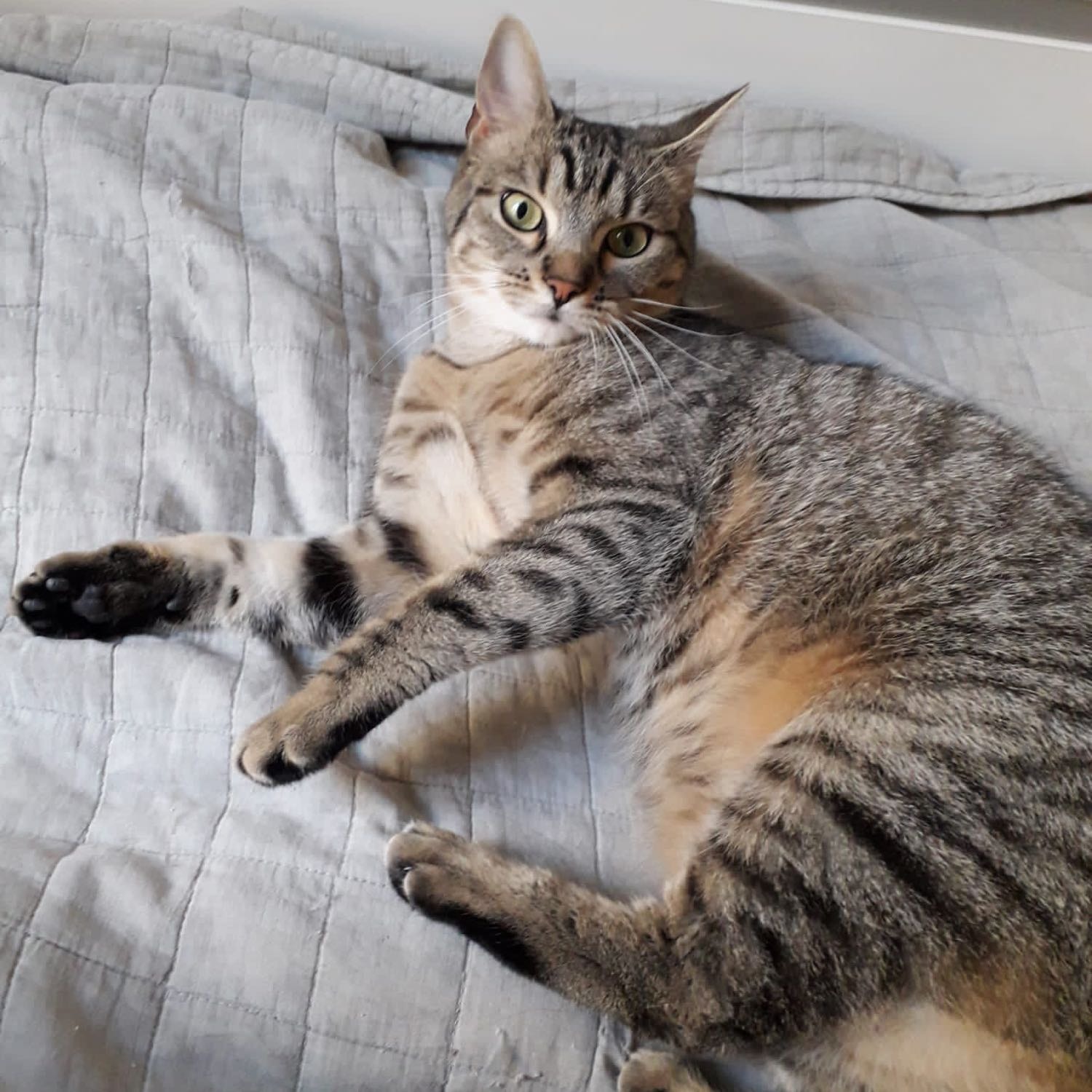 Luna 