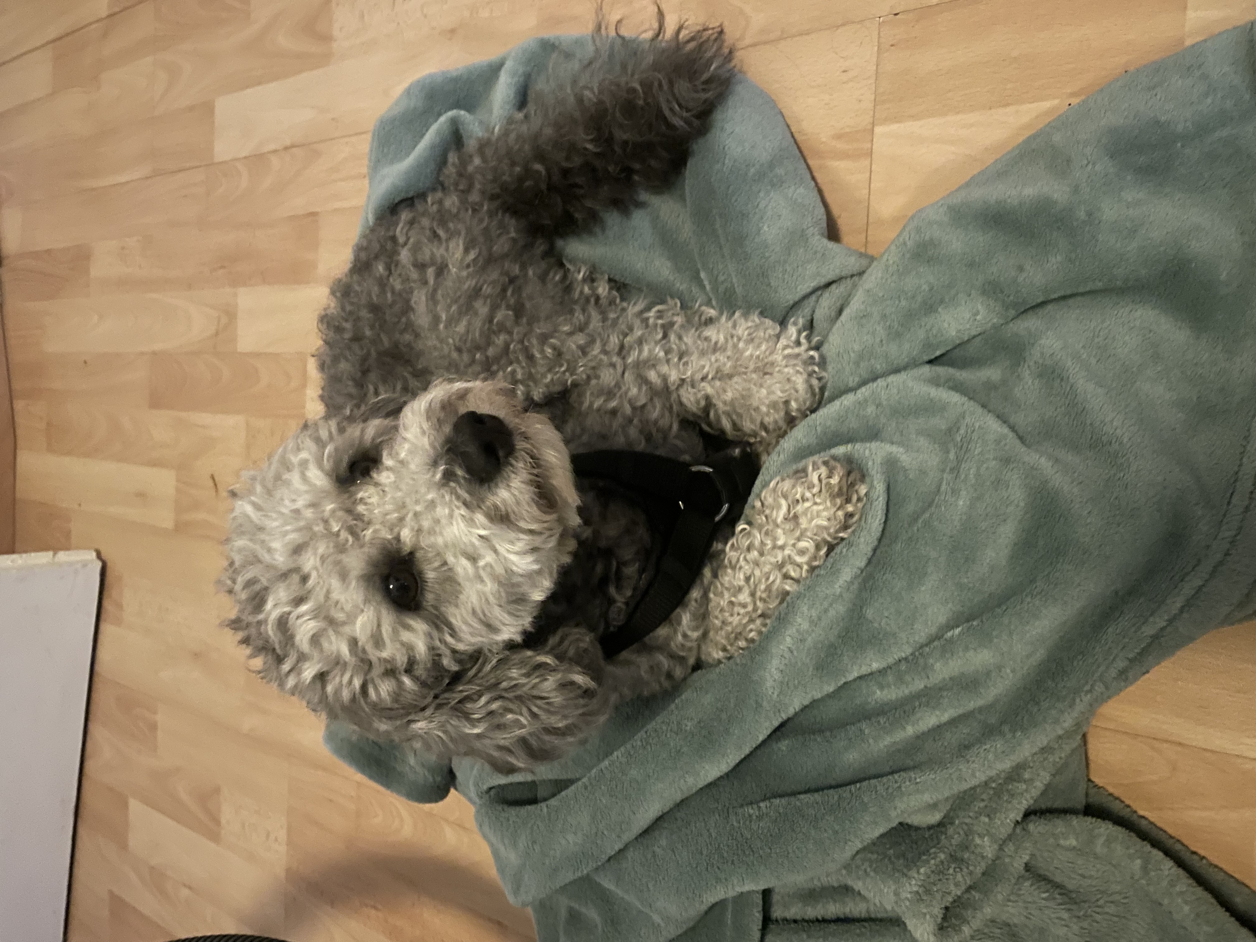 image-4