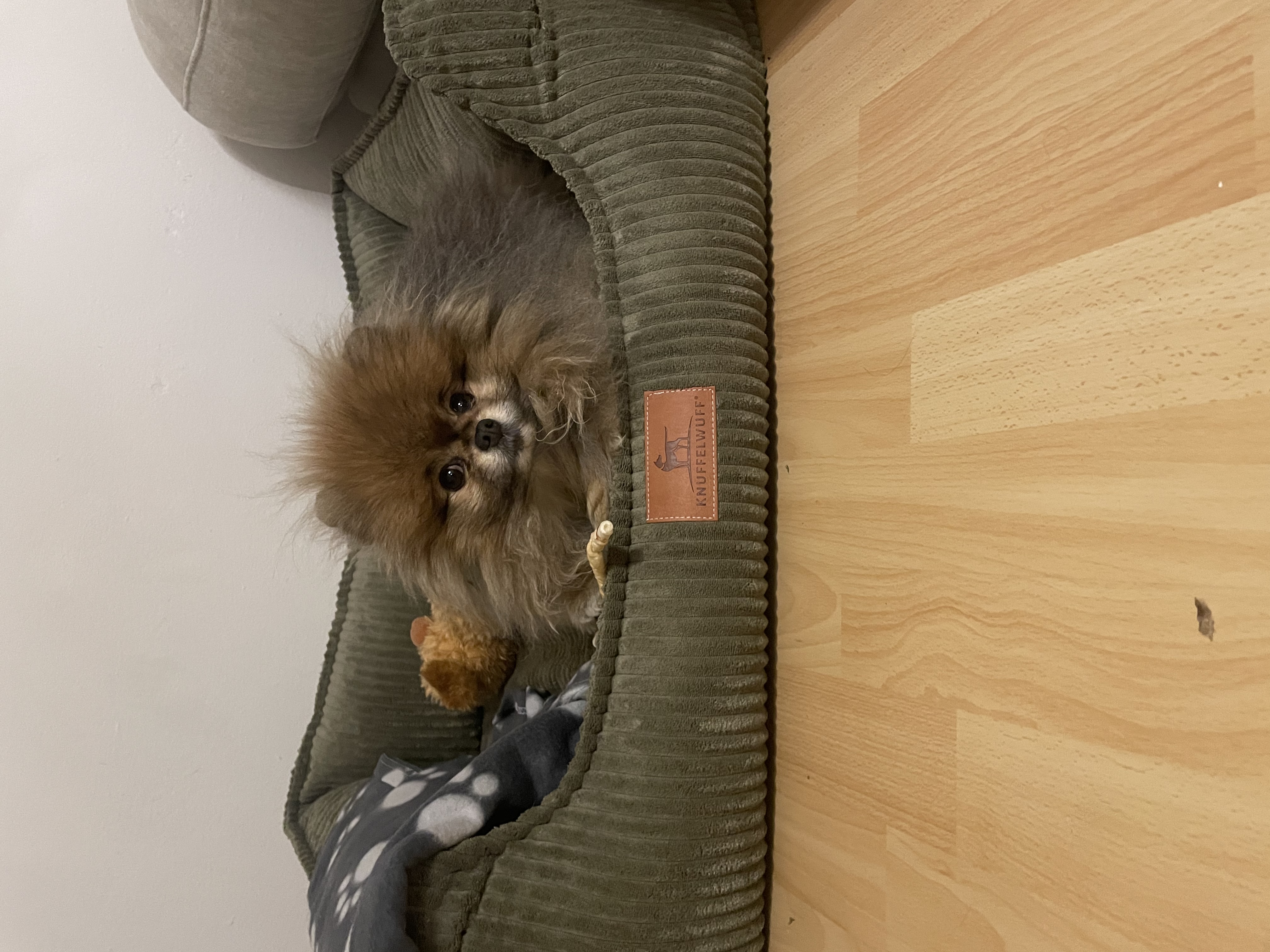 image-7