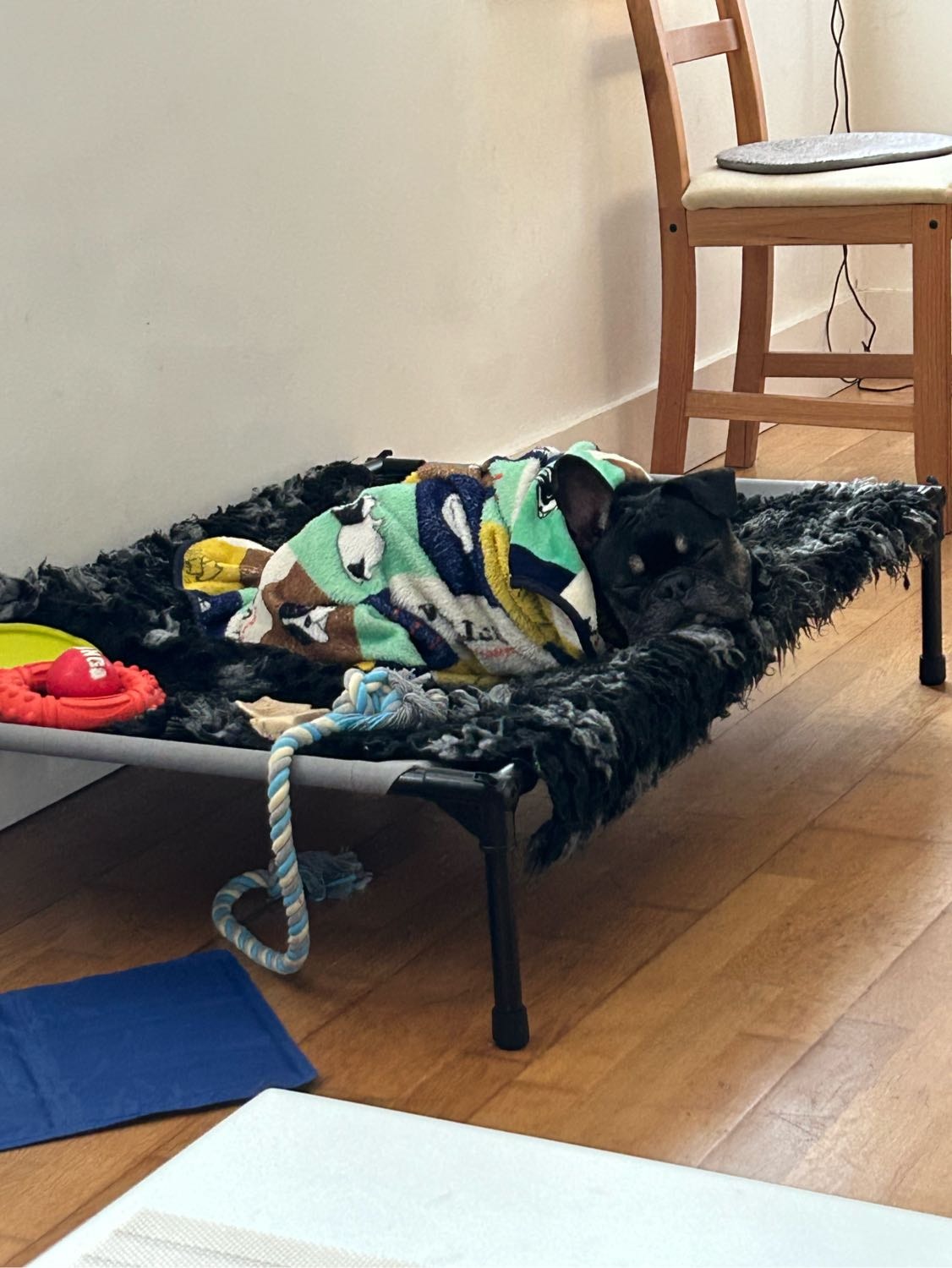 image-6