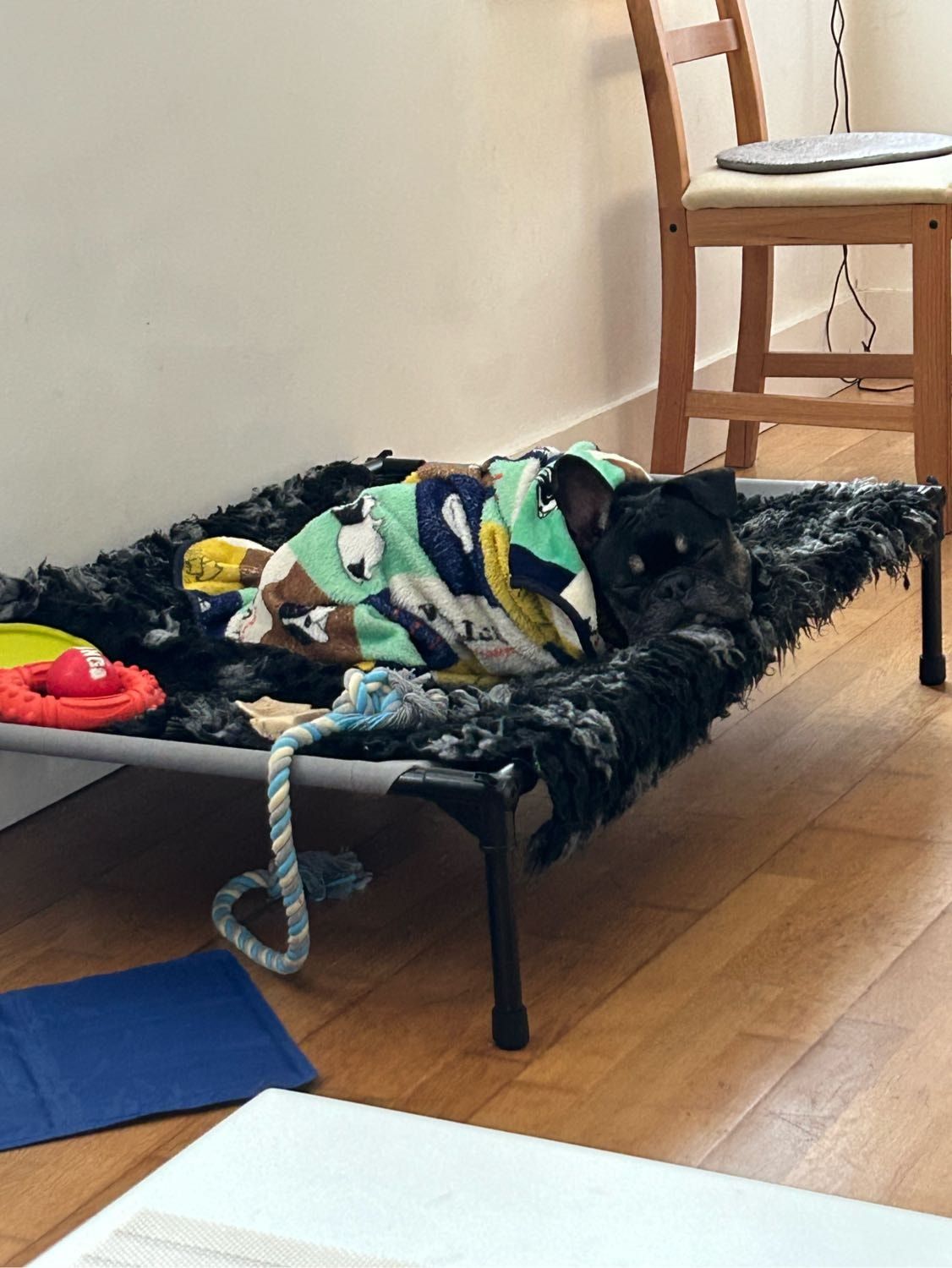 image-6