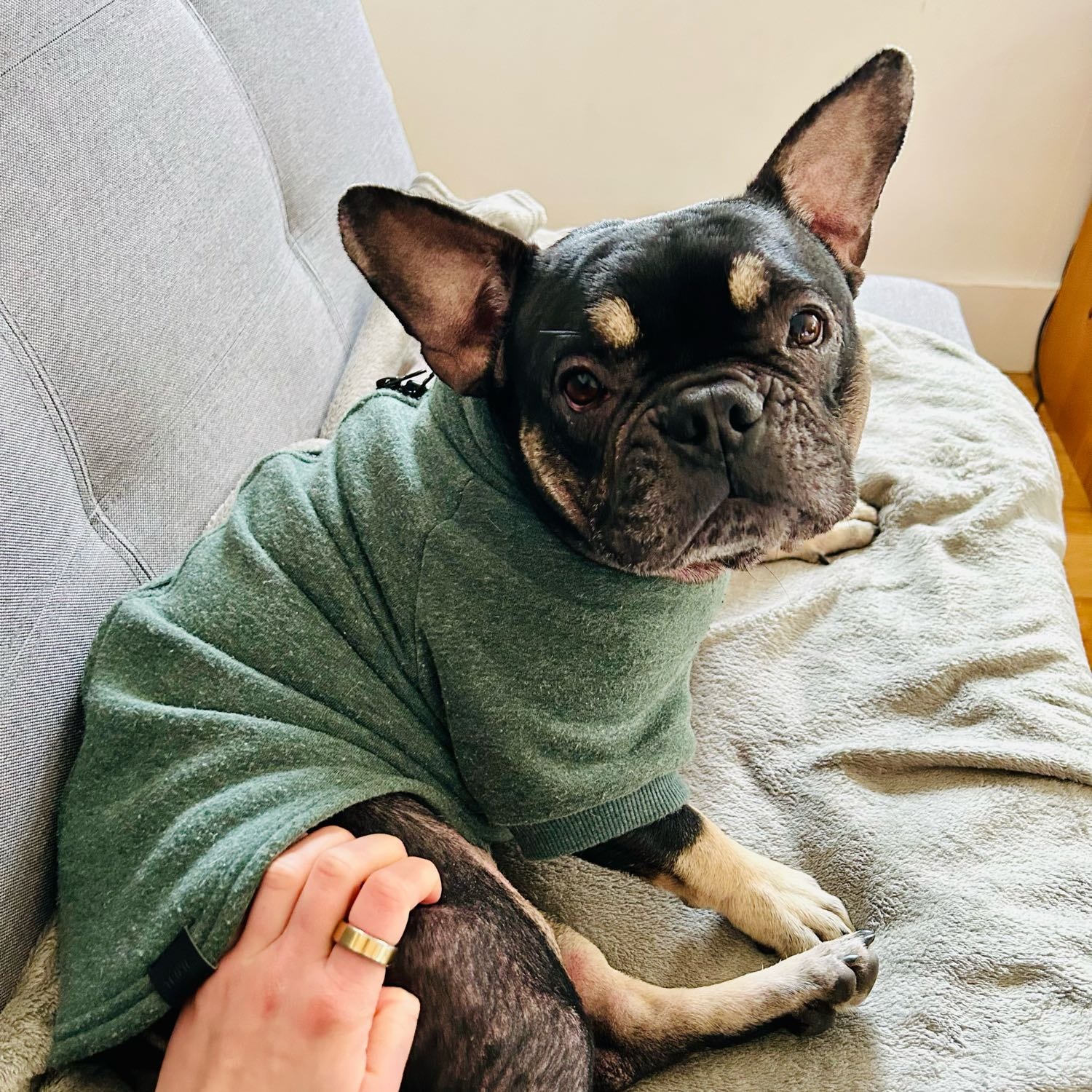 Ella