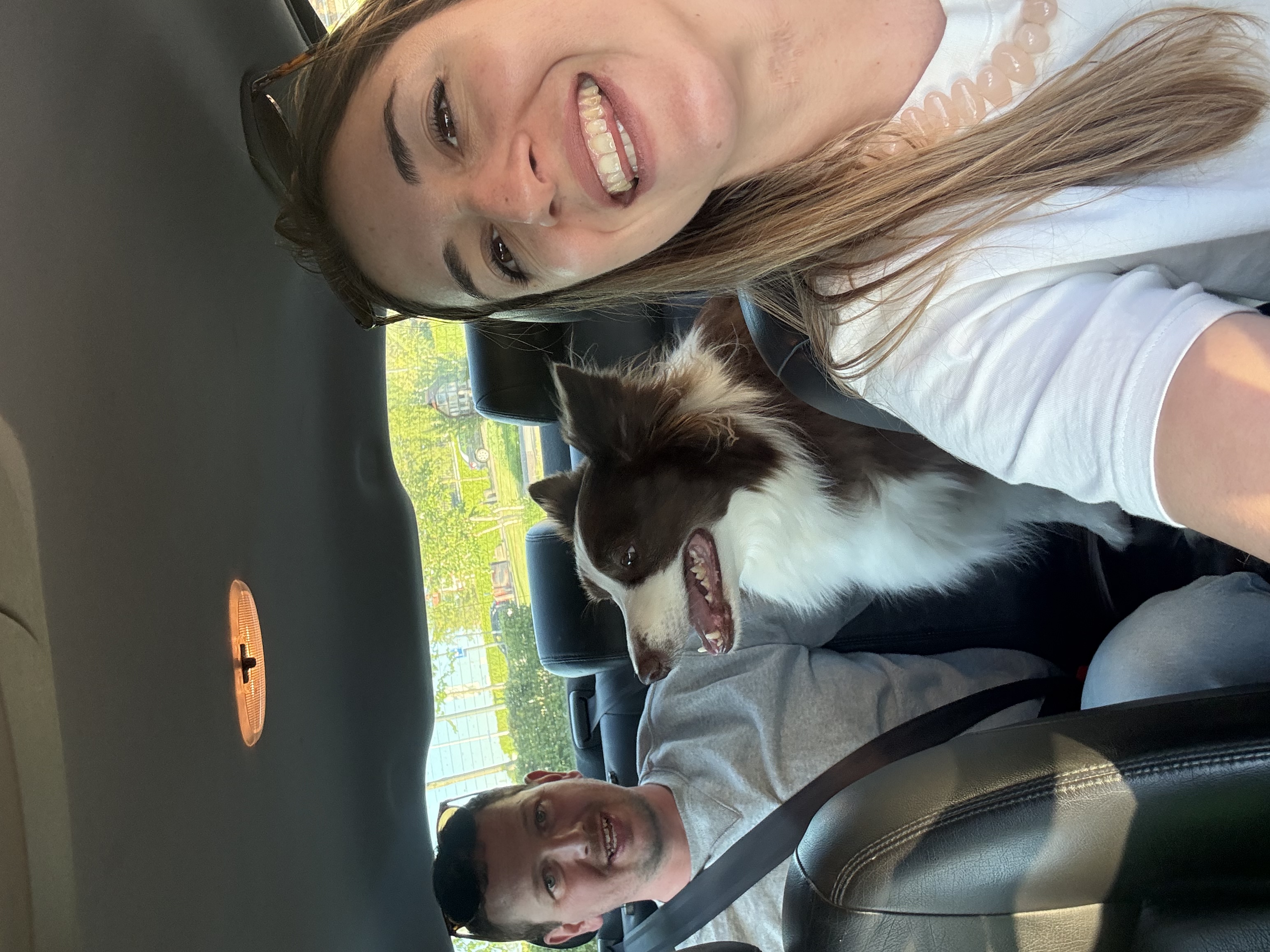 image-14