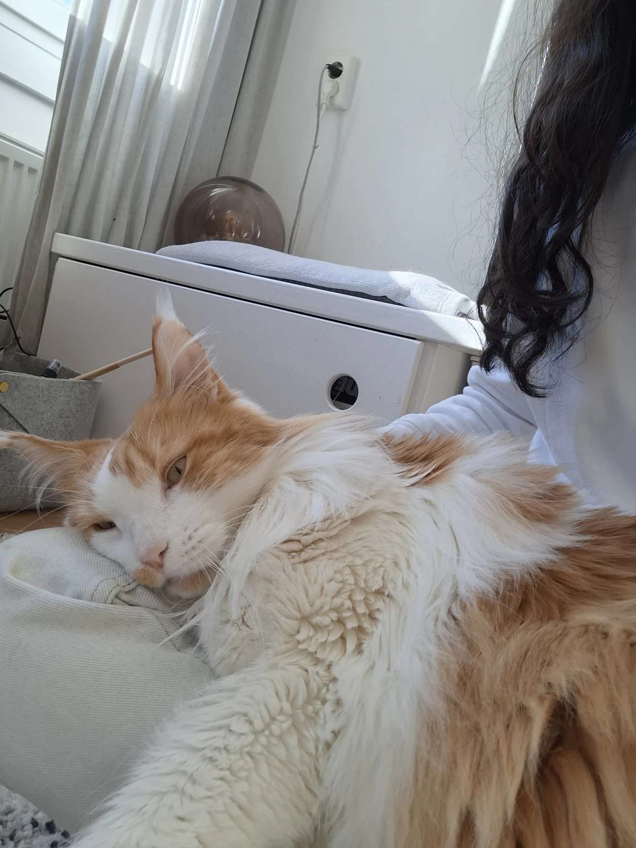image-8