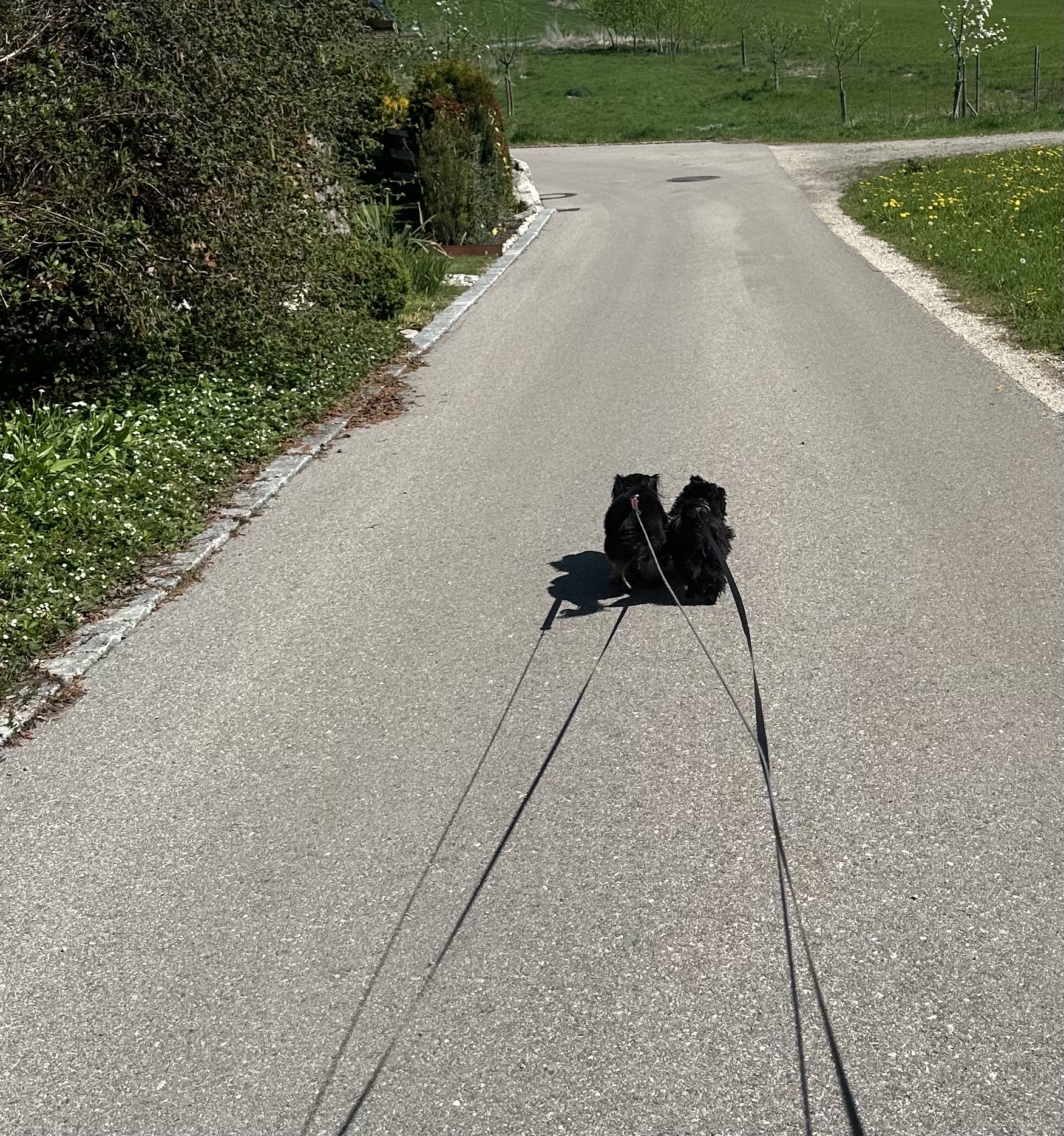 image-17