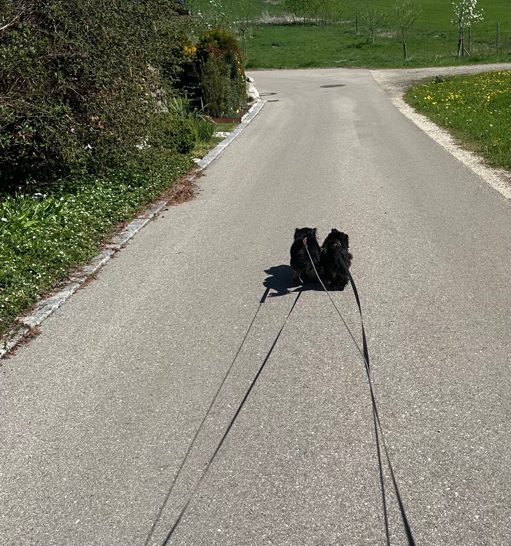 image-17