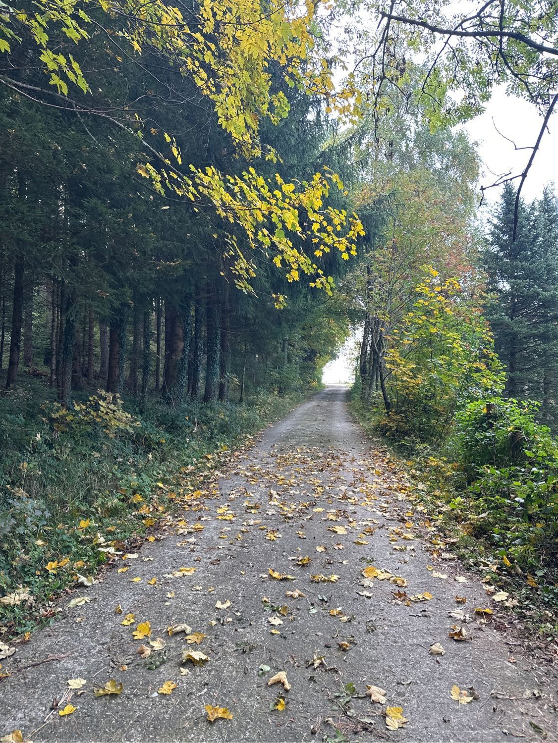 image-14