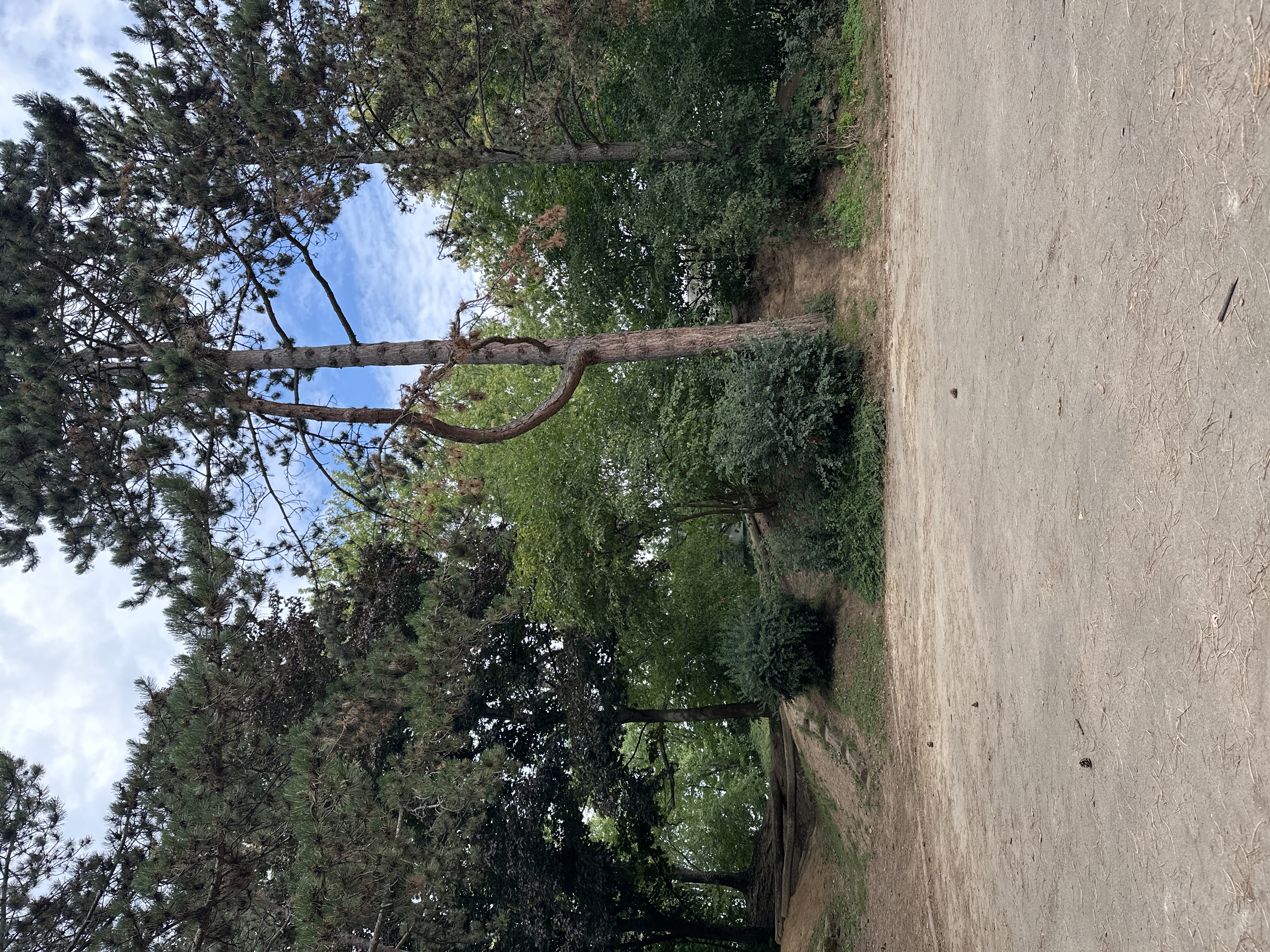 image-20