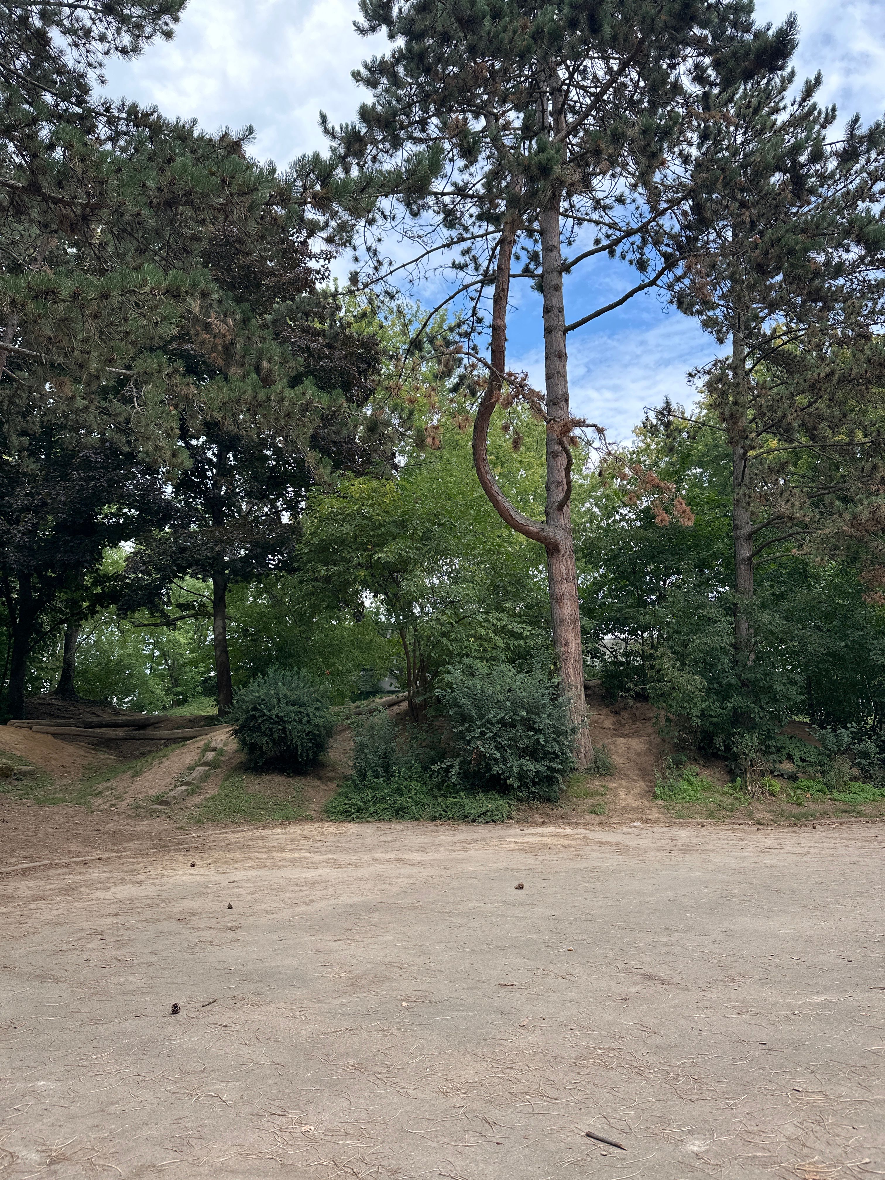 image-20