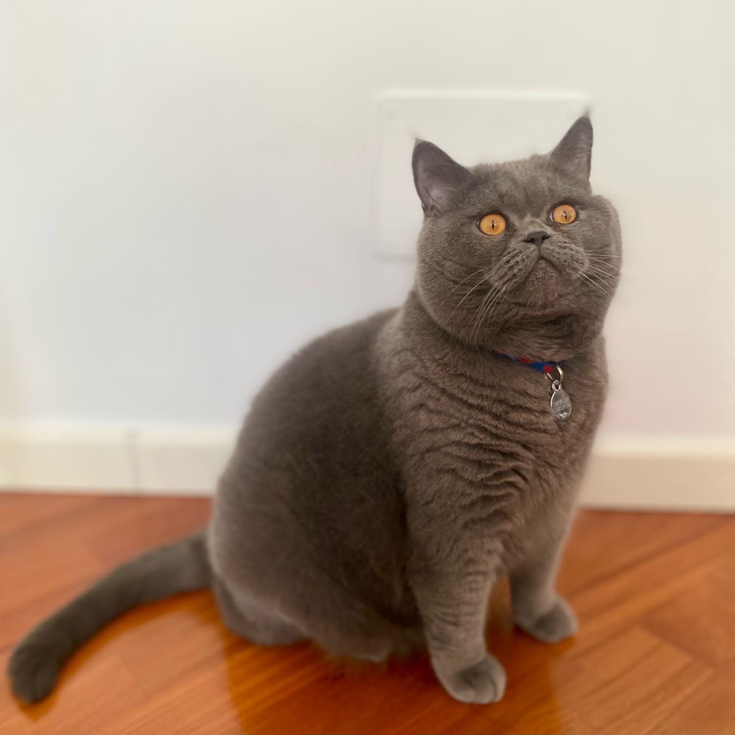 Oliver