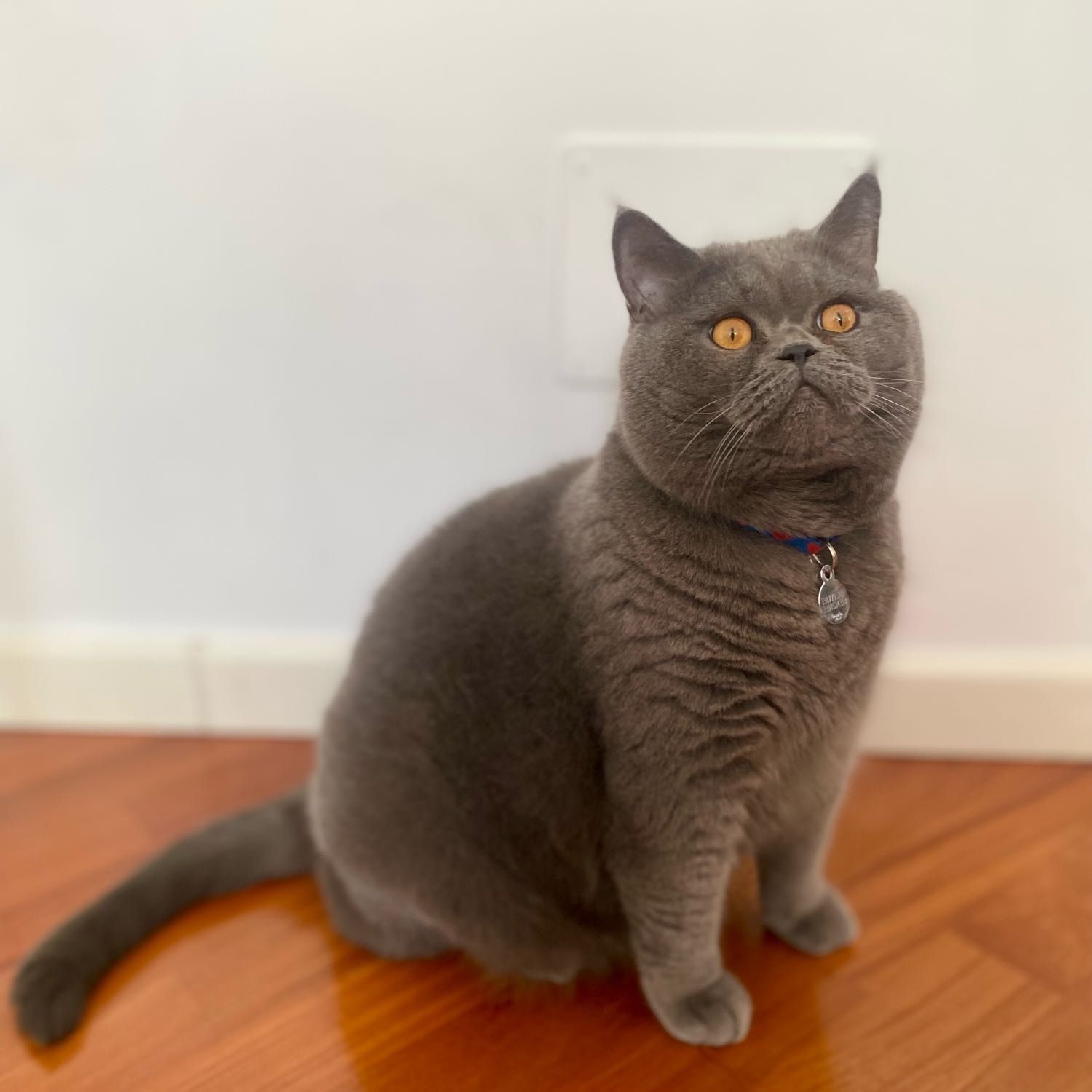 Oliver