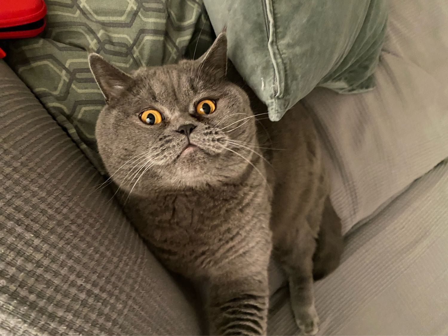 image-4