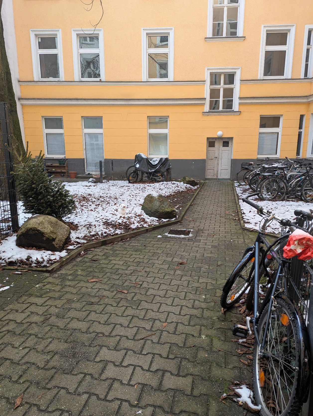 image-21