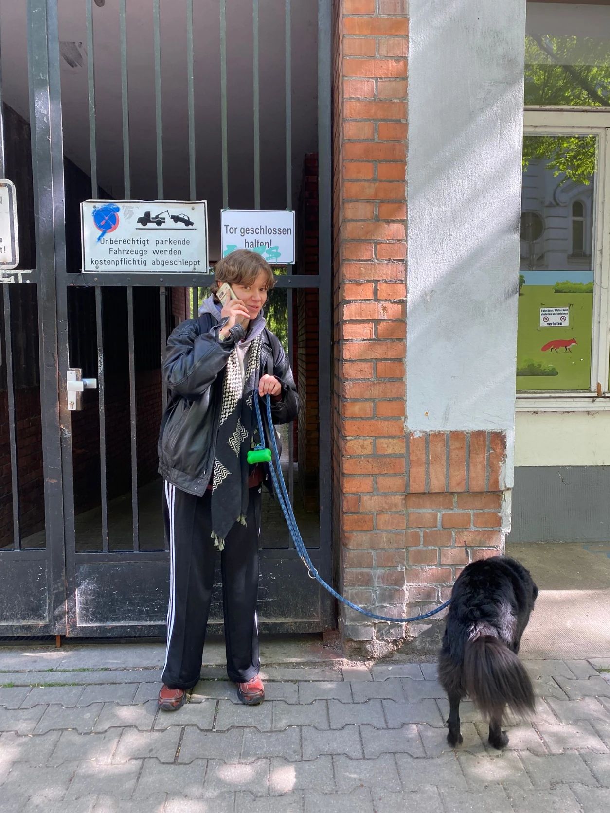 image-12