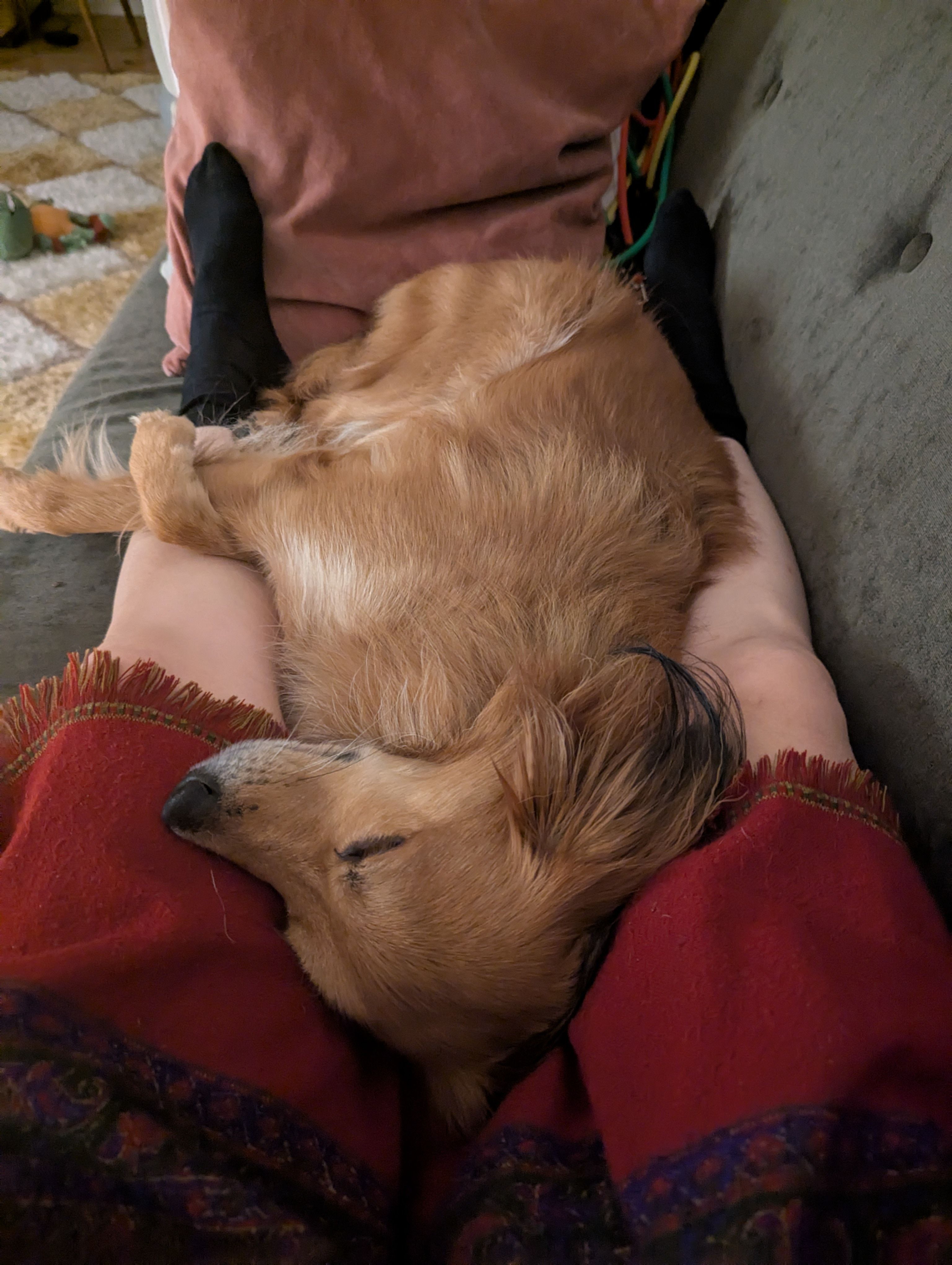 image-5