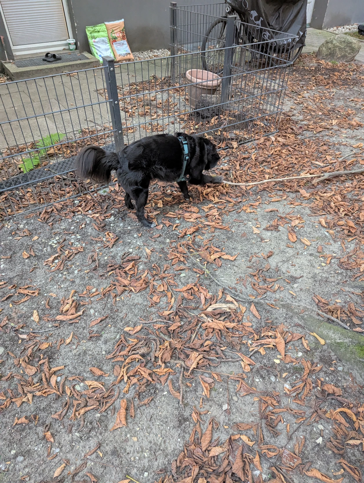 image-18
