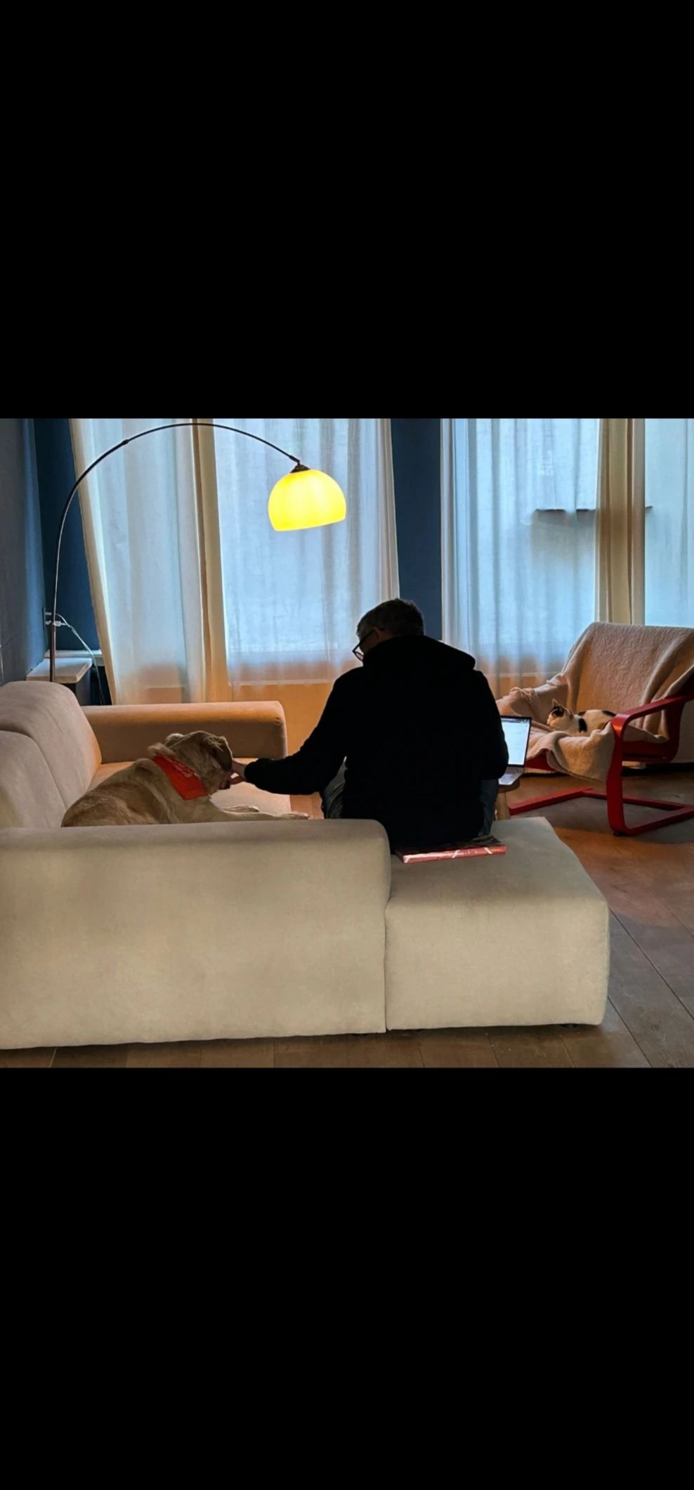 image-7