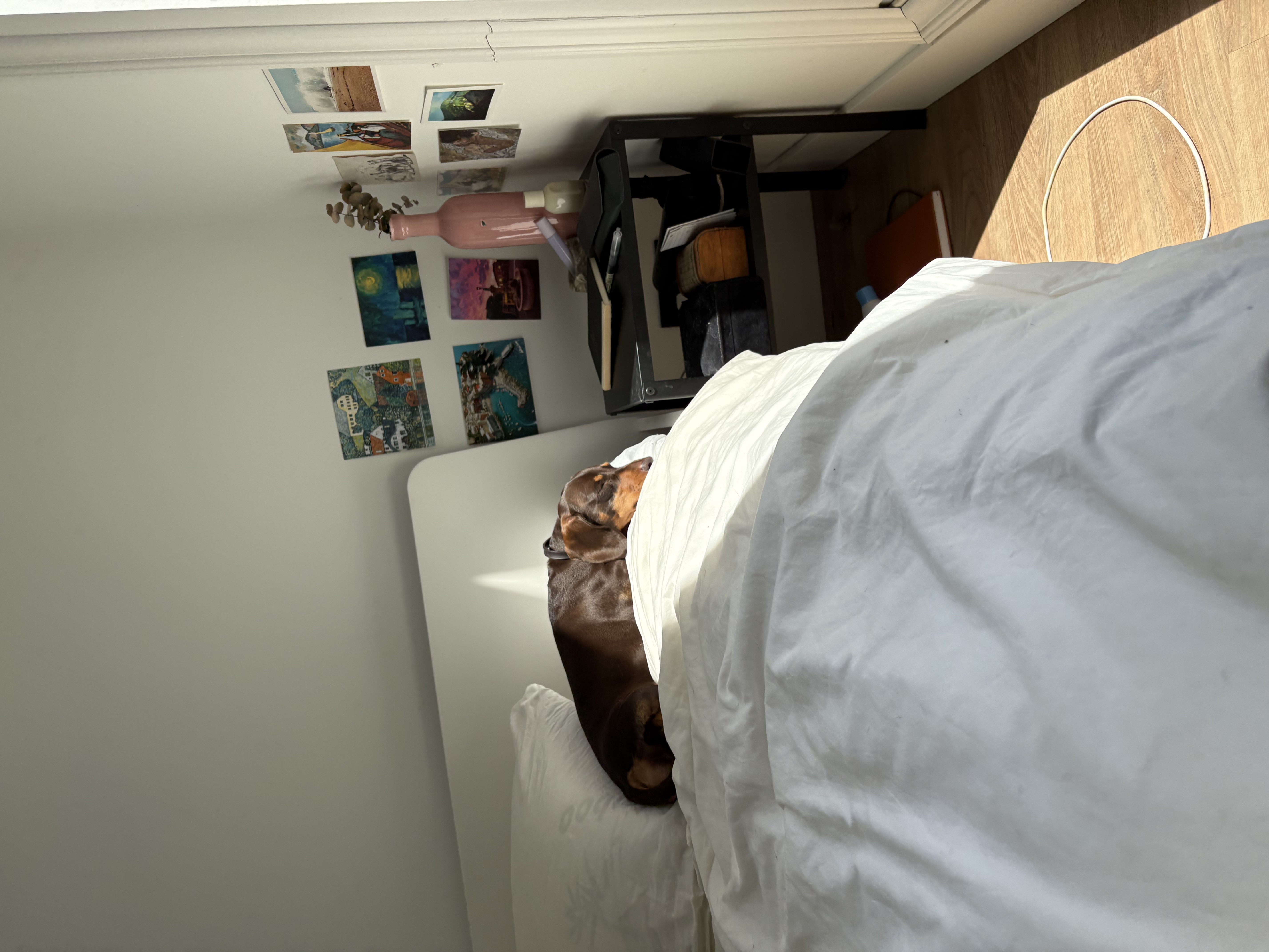 image-14