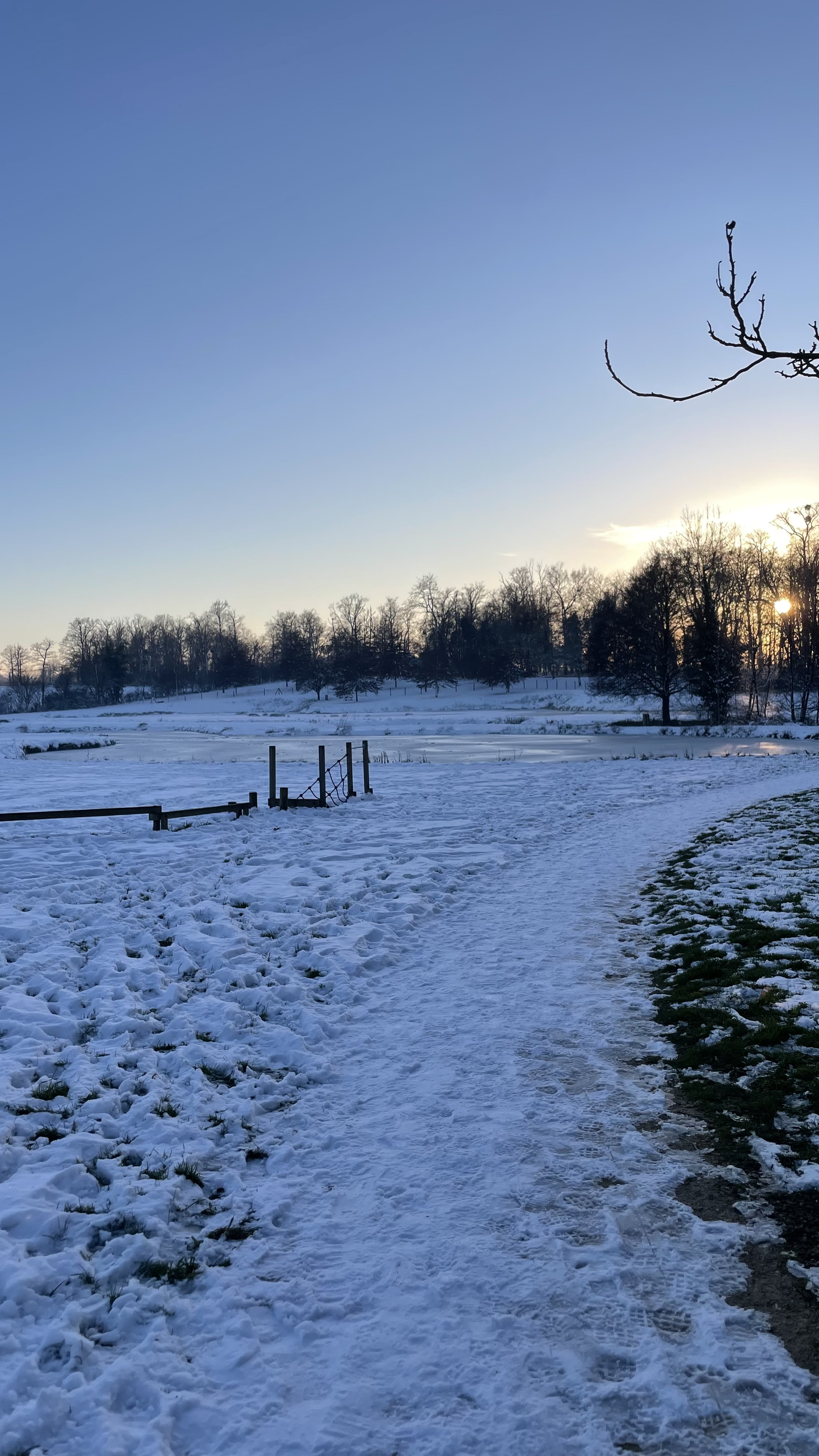 image-16