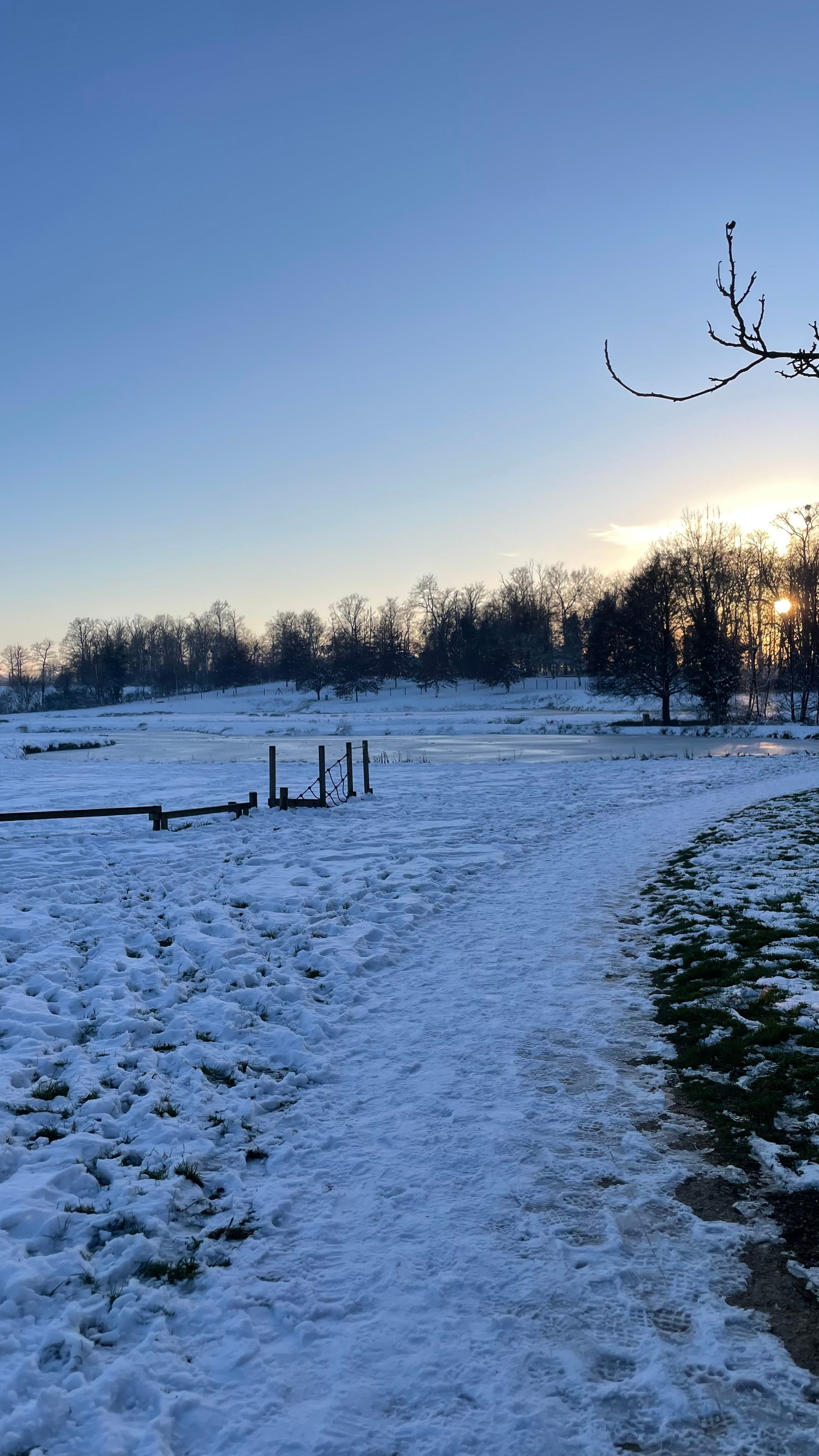 image-16