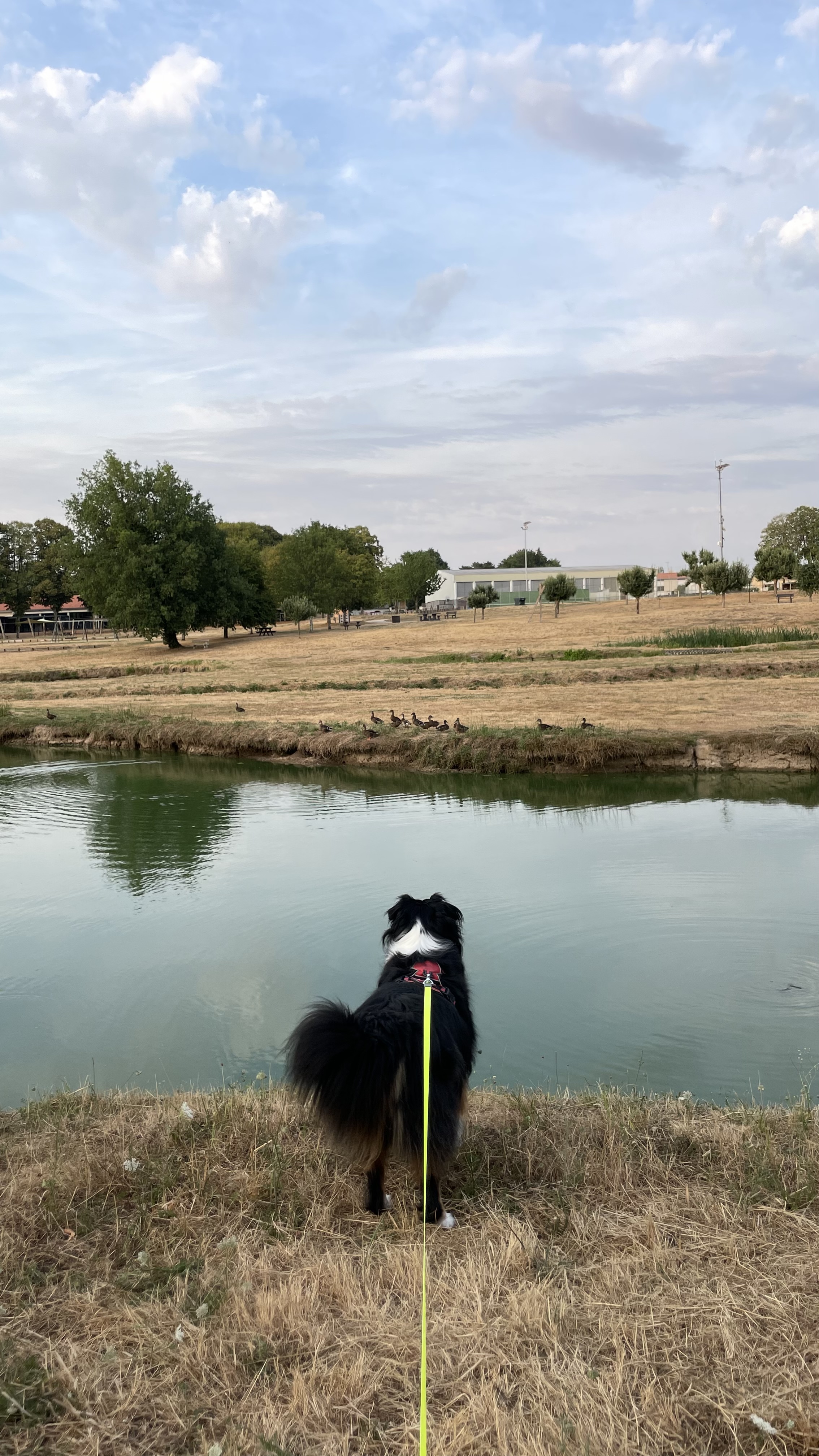 image-11