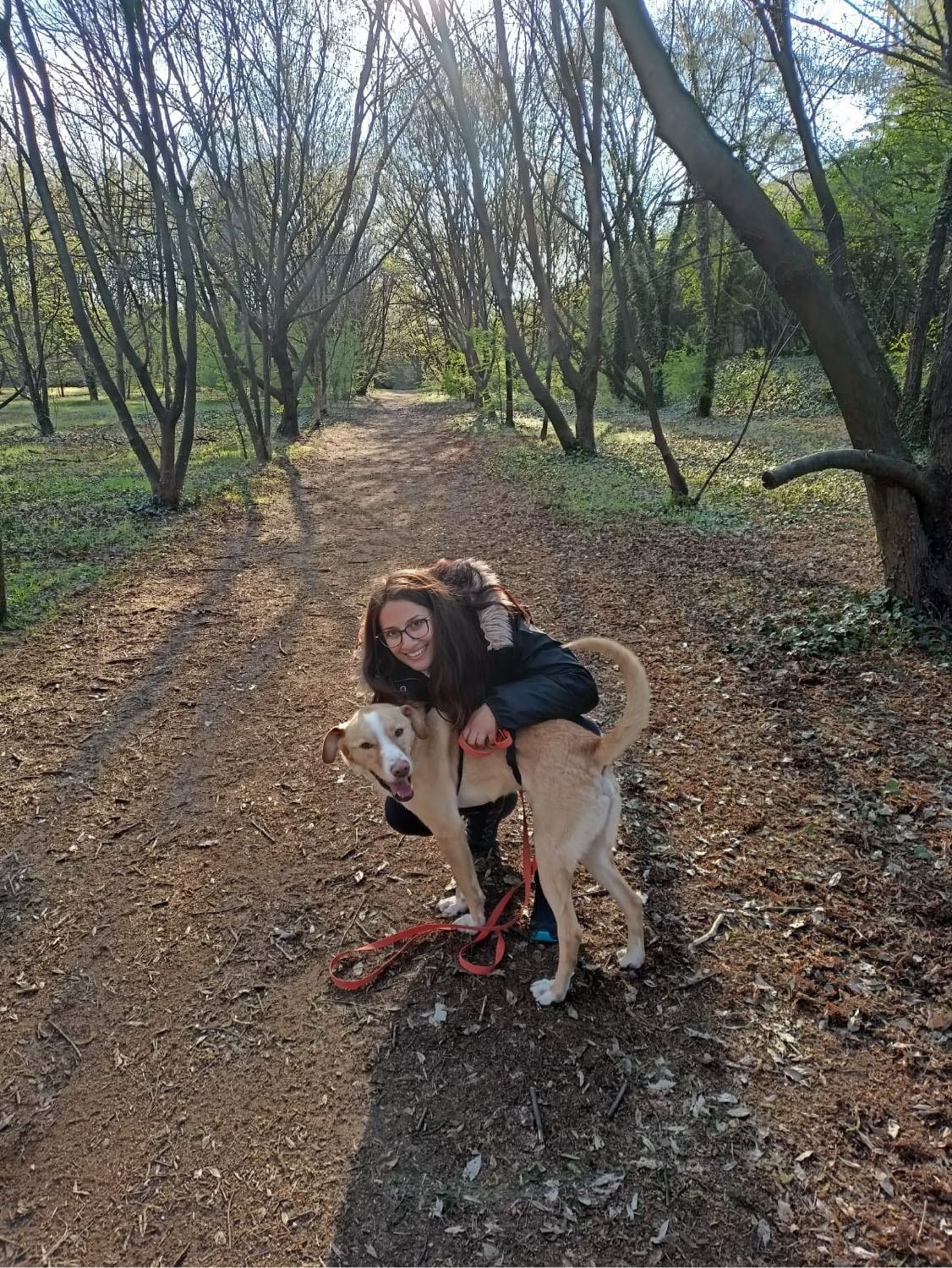 image-8