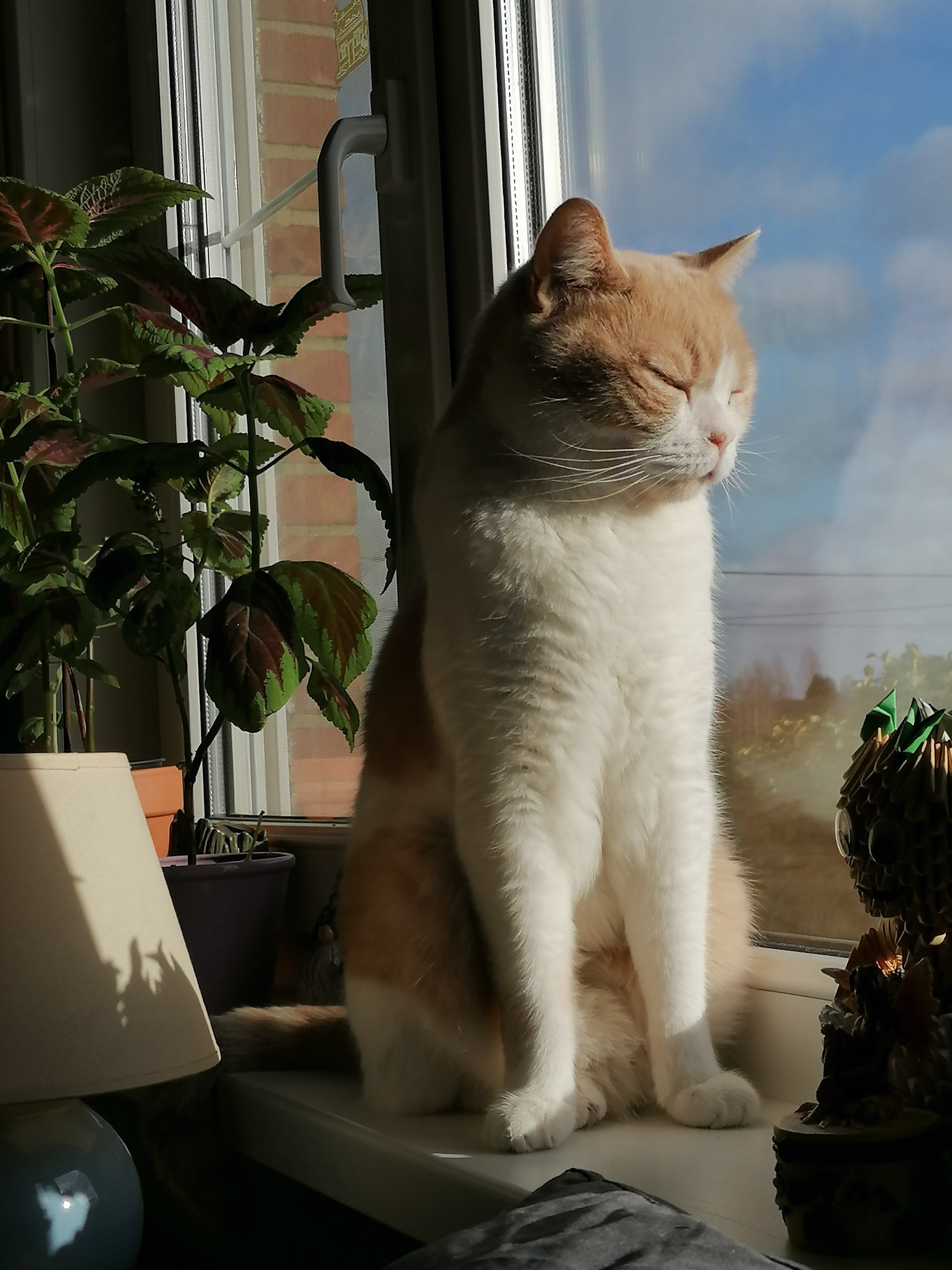 image-3