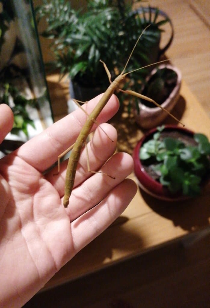 image-8
