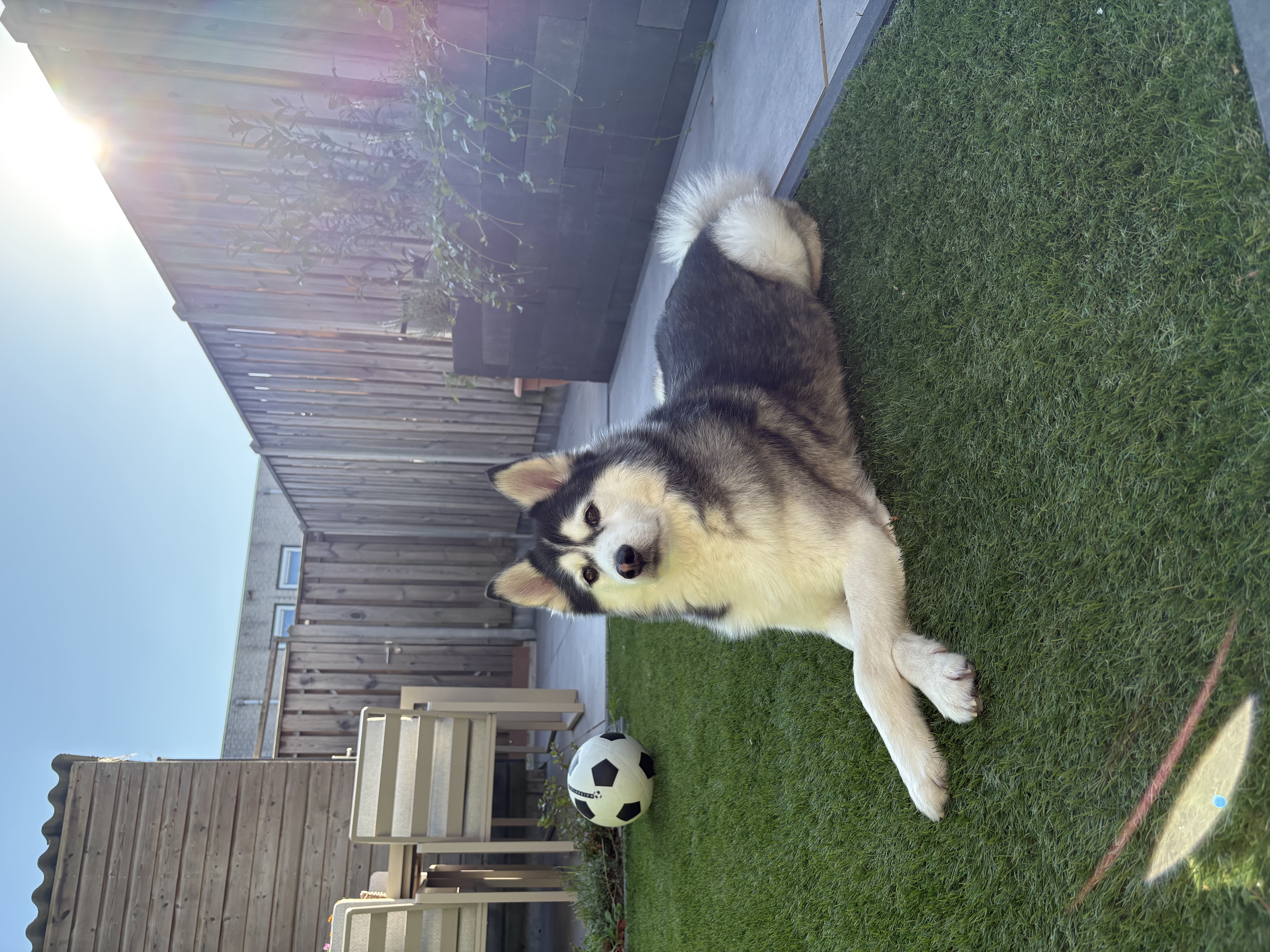 image-11