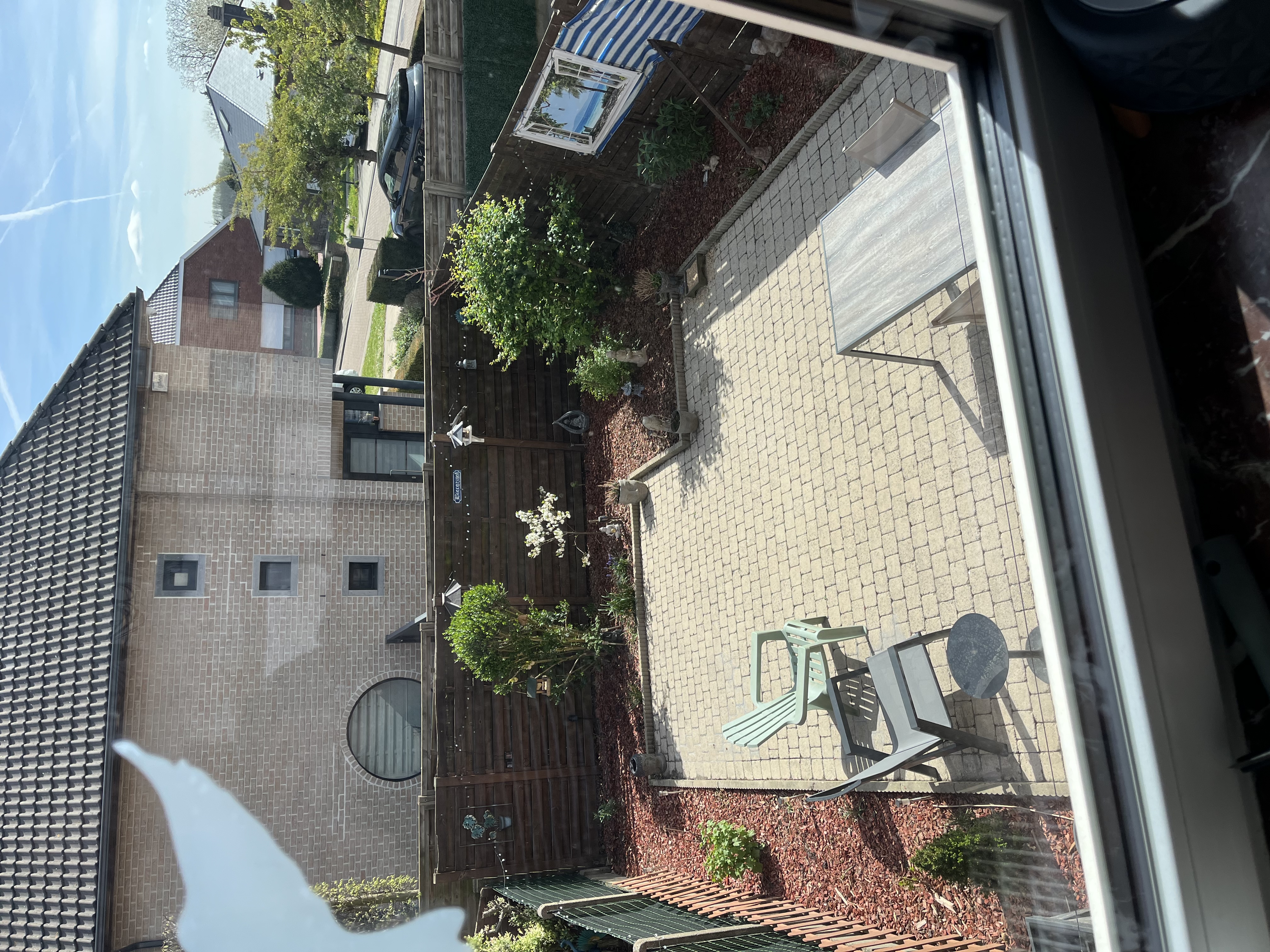 image-20