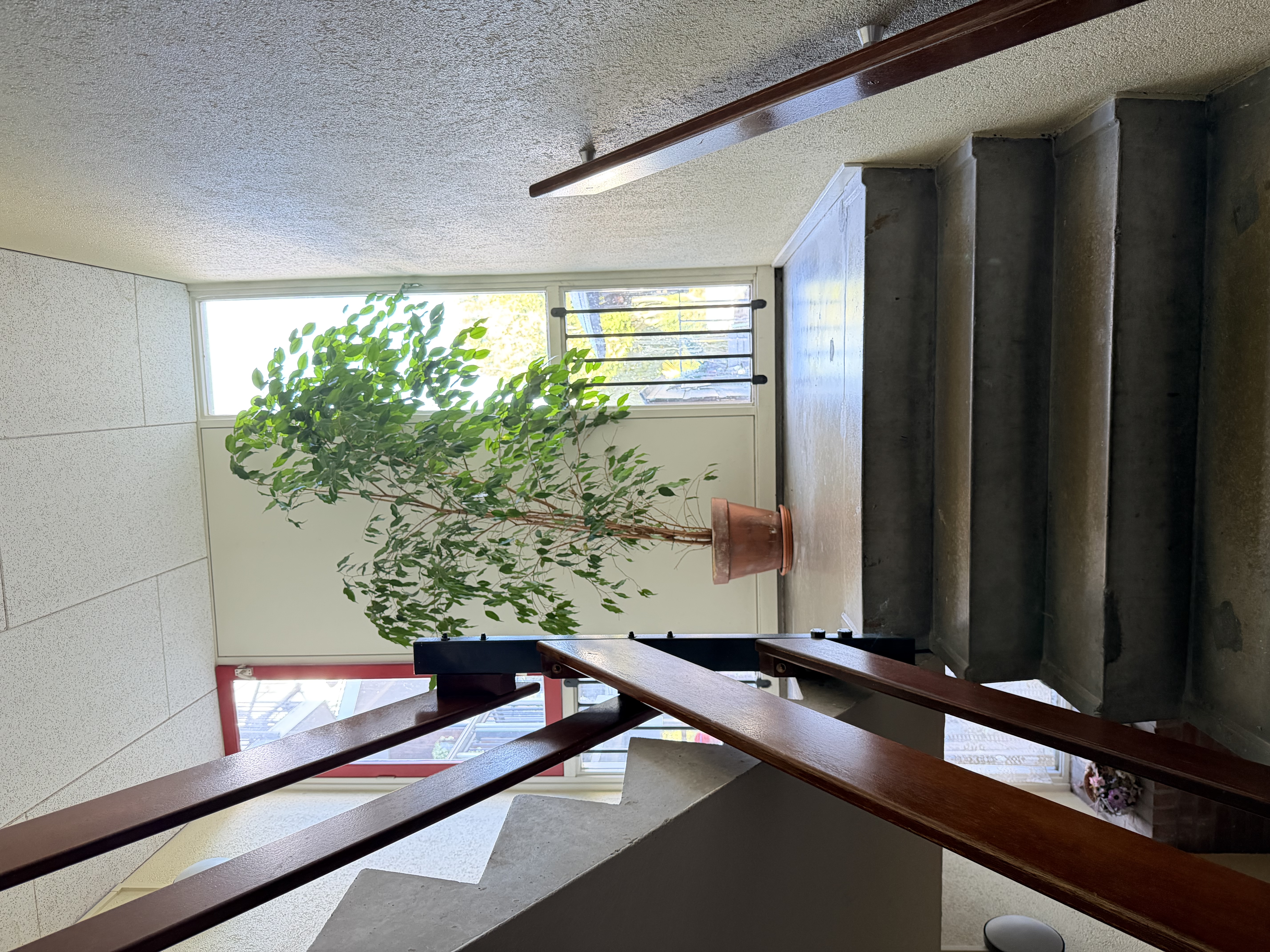 image-14
