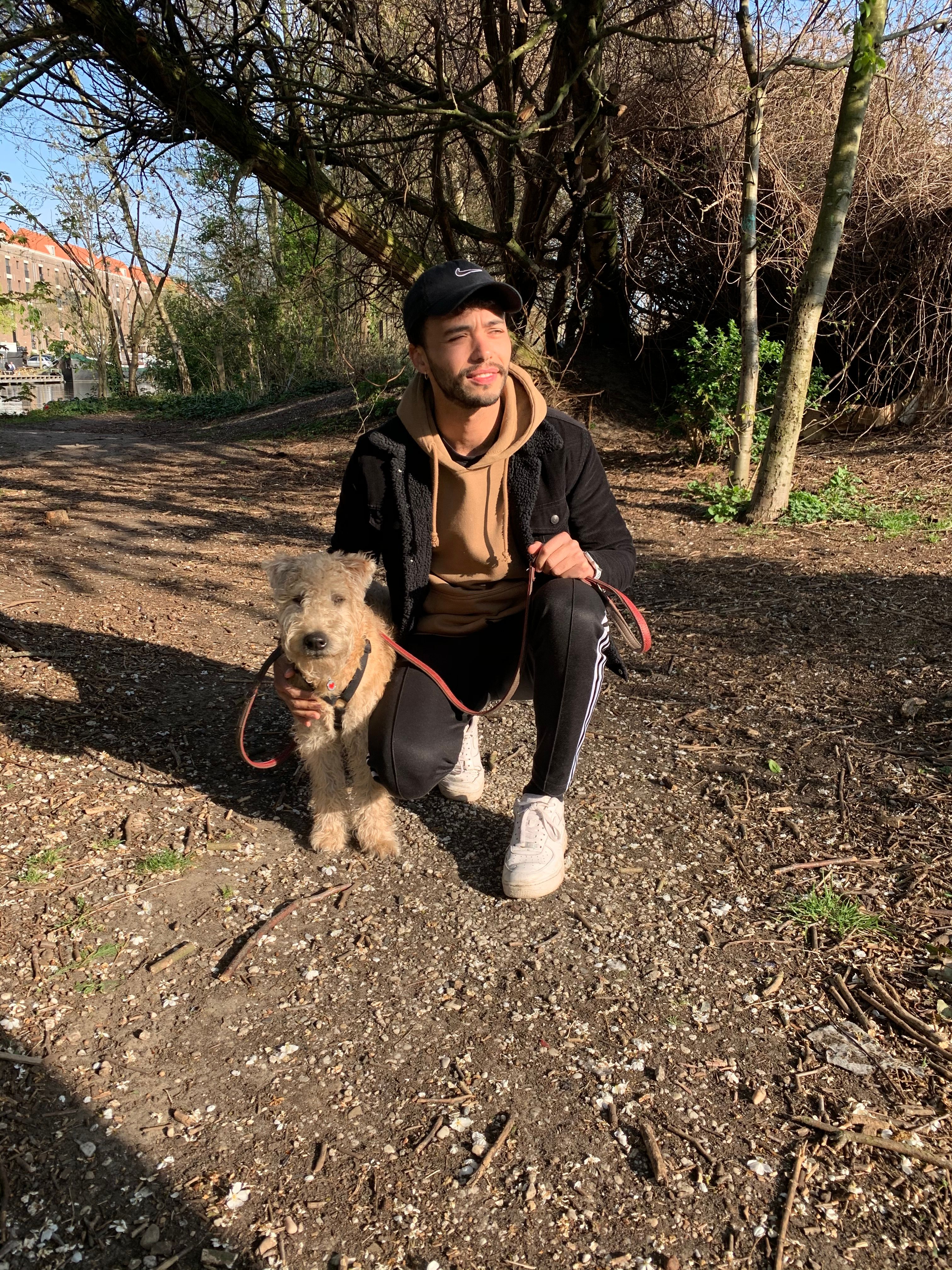 image-6